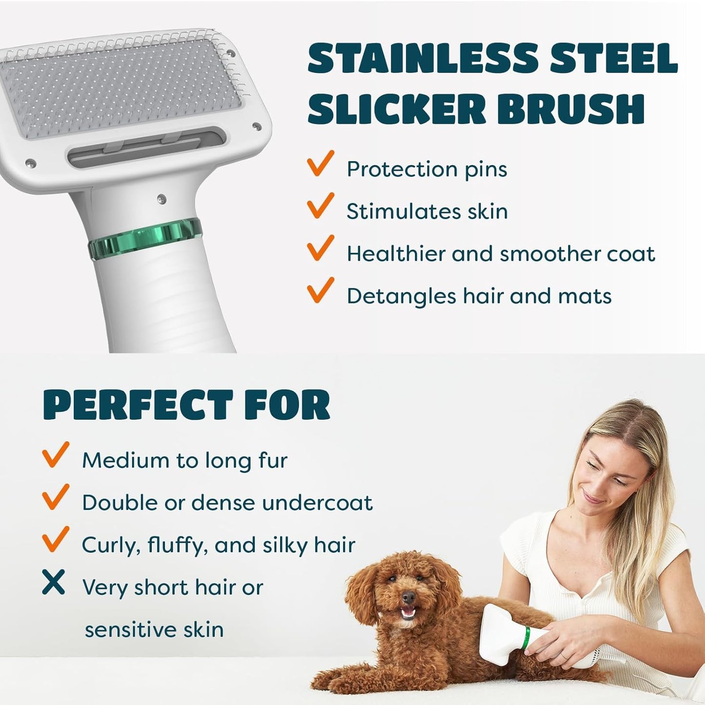 2-in-1 Dog Dryer & Slicker Brush | Pet Hair Dryer for Small Dogs & Cats, 300 Watts, Adjustable Temperature, Overheat Protection