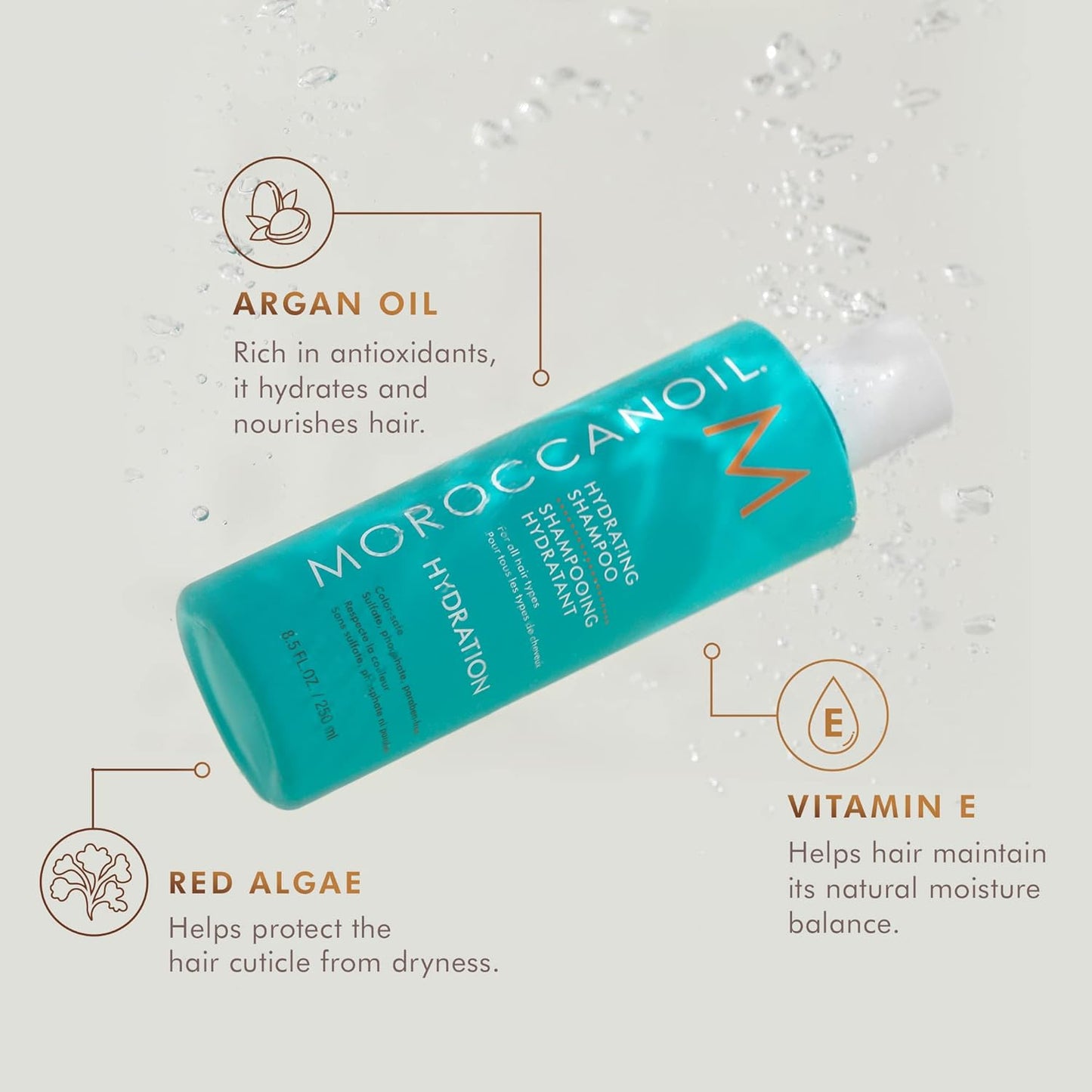 Moroccanoil Hydrating Shampoo & Conditioner Set - Moisturizing Hair Care Bundle