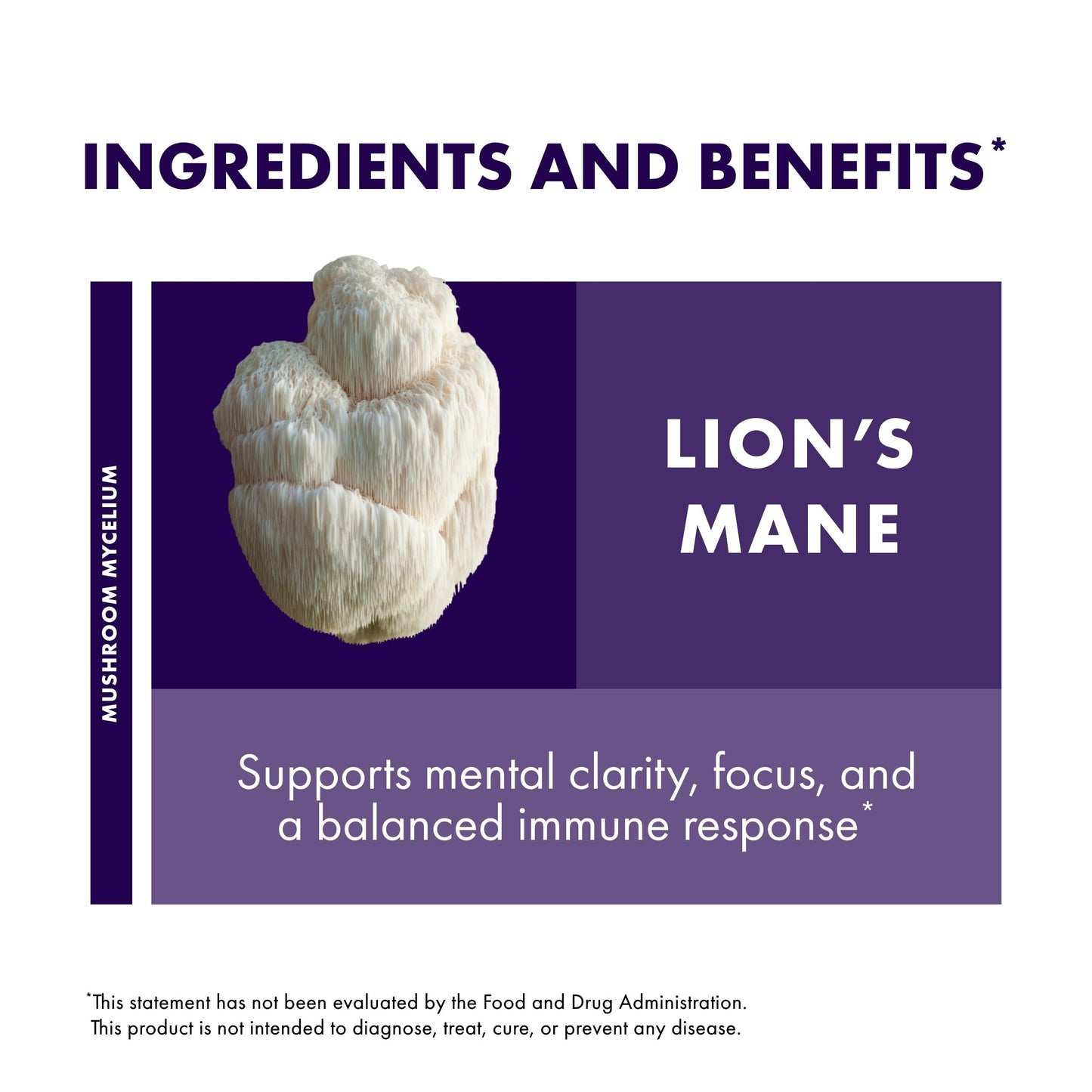 Host Defense Mushrooms Lion's Mane Extract - Lion's Mane Liquid Supplement for Brain Health - Mushroom Support for Focus & Memory Function - Immune & Nervous System Support - 1 fl oz (30 Servings)*