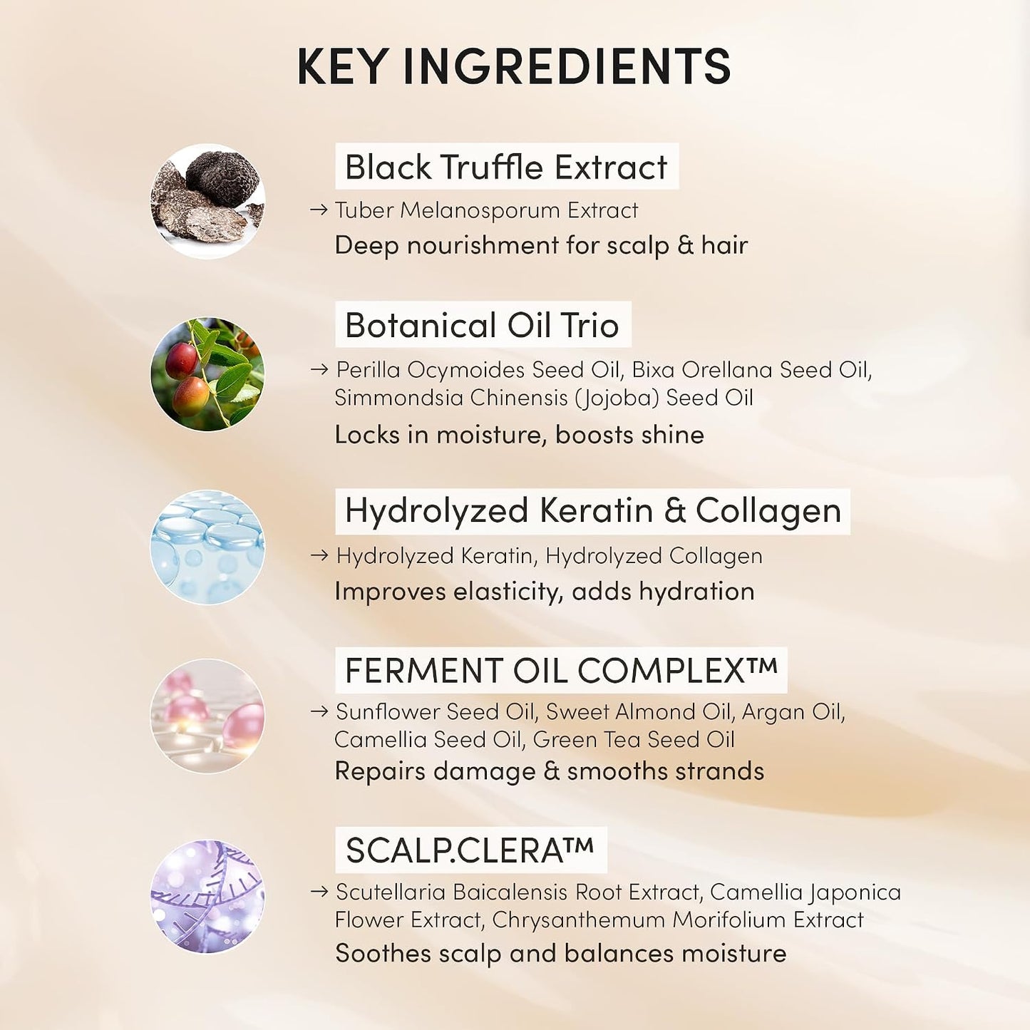 Instant Hair Dye Shampoo Ampoule - Permanent Gray Hair Coverage with Keratin & Collagen | Natural Brown, Paraben-Free, 5-Minute Application