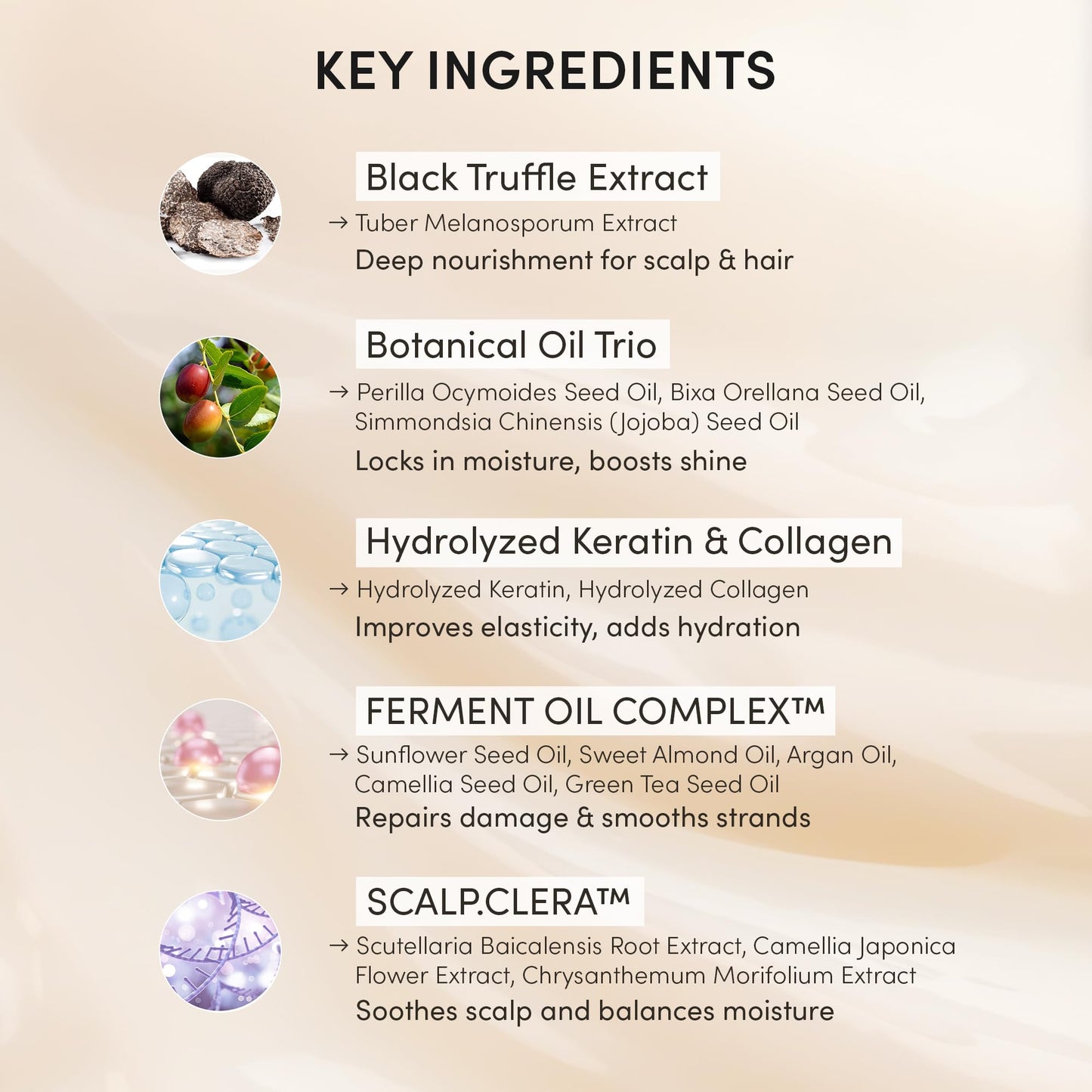 HAARAZ Instant Hair Dye Shampoo Ampoule, Permanent Hair Color Dye - Paraben-Free, 5-Minute Easy and Fast Coloring, Keratin & Collagen, Made in Korea (Dark Brown)