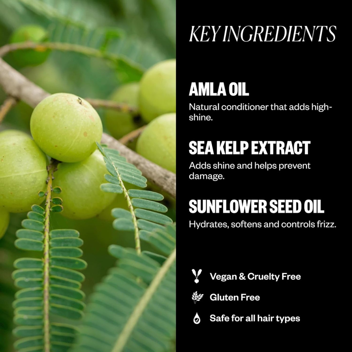 Amla Oil High Shine Gloss Treatment - Strengthens & Softens Hair | UV Protection, Color Safe | 1.7 oz