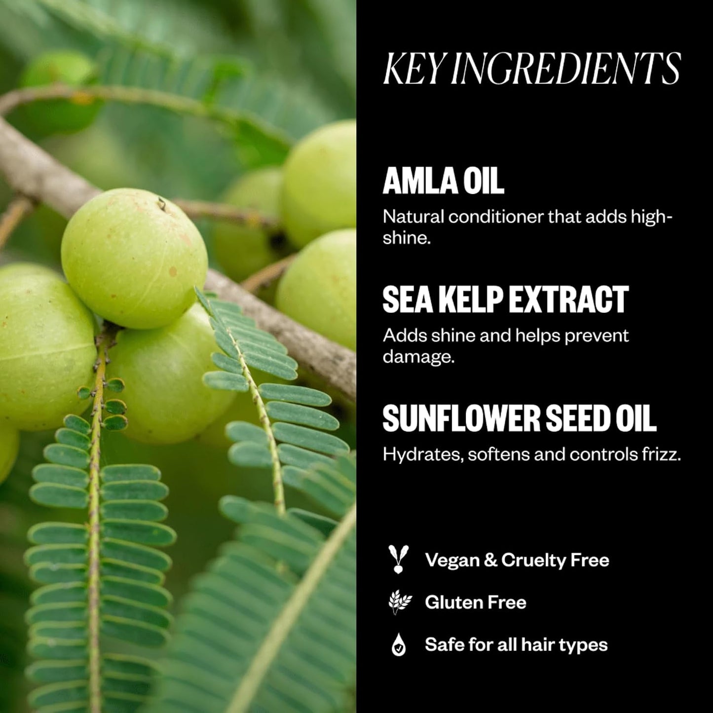 IGK Amla Oil High Shine Gloss Treatment - Strengthens & Softens Hair | UV Protection, Vegan | 1.7 oz