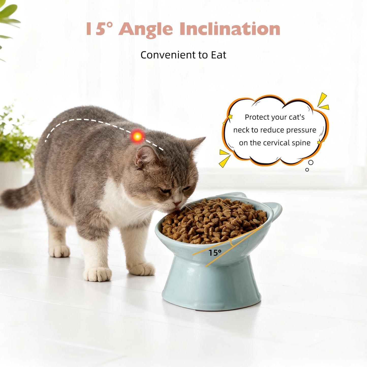 KSIA Klear Elevated Cat Bowls 2 Pack, Tilted Raised Cat Bowls for Indoor Cats, for Food and Water, 4.72" Wide, Whisker Friendly Anti Vomit for Indoor Cats, Microwave and Dishwasher Safe, Pink&Blue