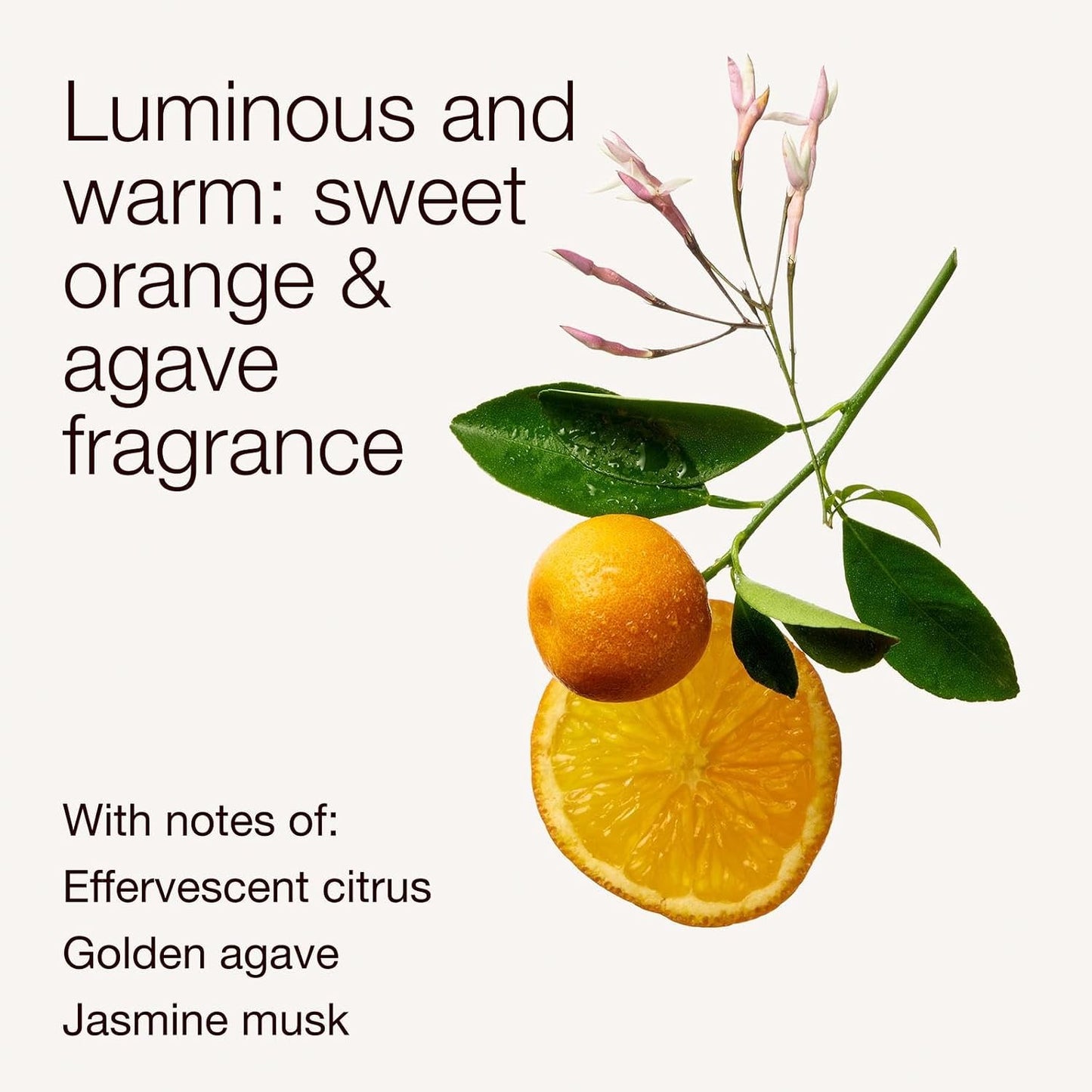 Gentle & Clean Foaming Hand Soap - Sweet Orange & Agave Citrus Scent | Non-Drying, Sulfate & Paraben-Free, 8.75 fl oz - 2 Pack