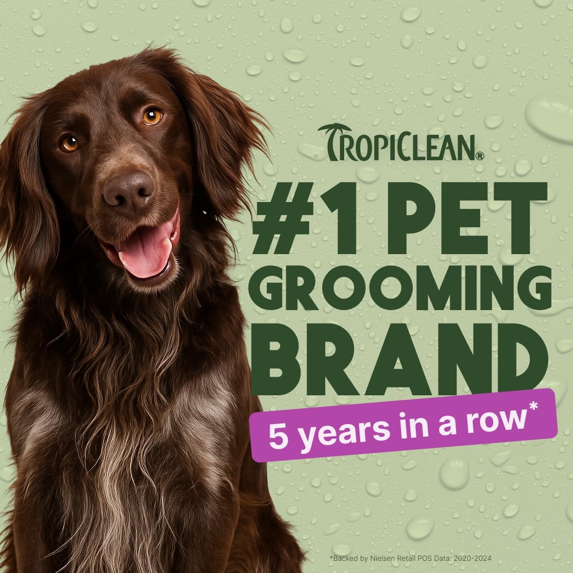 TropiClean Dog Detangler Spray - Leave-In Conditioner for Doodles & All Coat Types | 16 oz, Sweet Scent