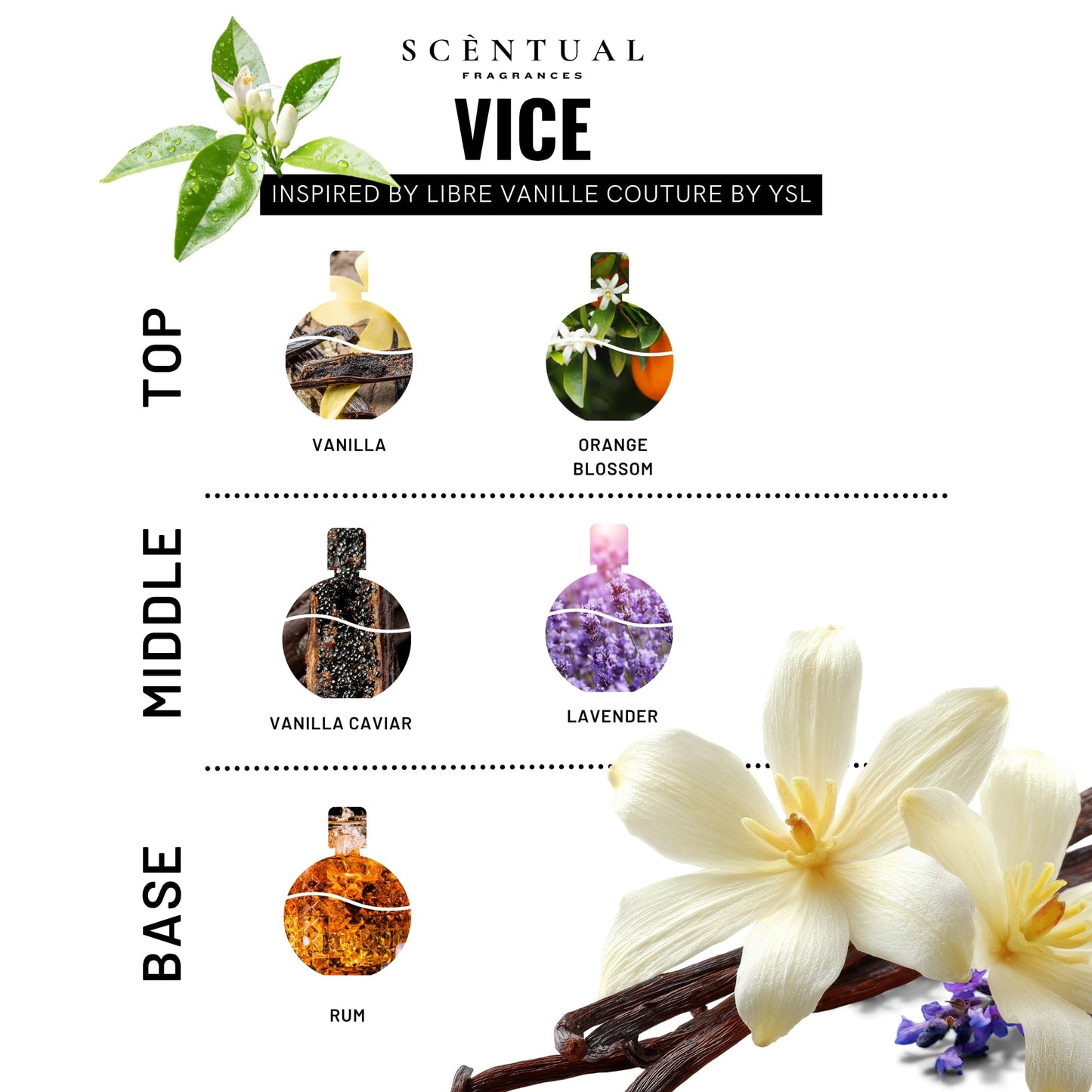 Scentual Fragrances, Vice Ultra-Concentrated Hair & Body Perfume Mist, Long Lasting Women's Fragrance, Gourmand Perfumes for Women, Vegan and Cruelty Free 4oz