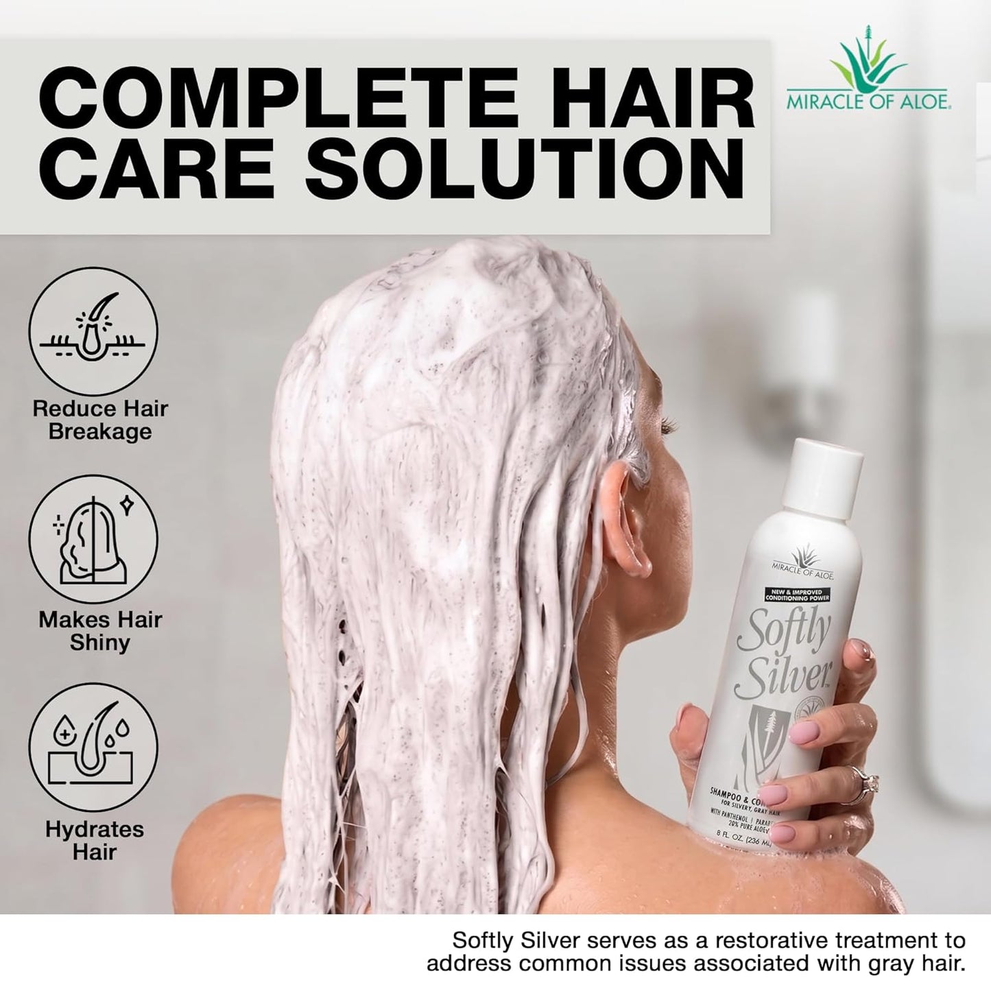Silver Shampoo for Gray Hair - 2-in-1 Purple Restorative Wash with Panthenol & Aloe | Adds Luster & Bounce