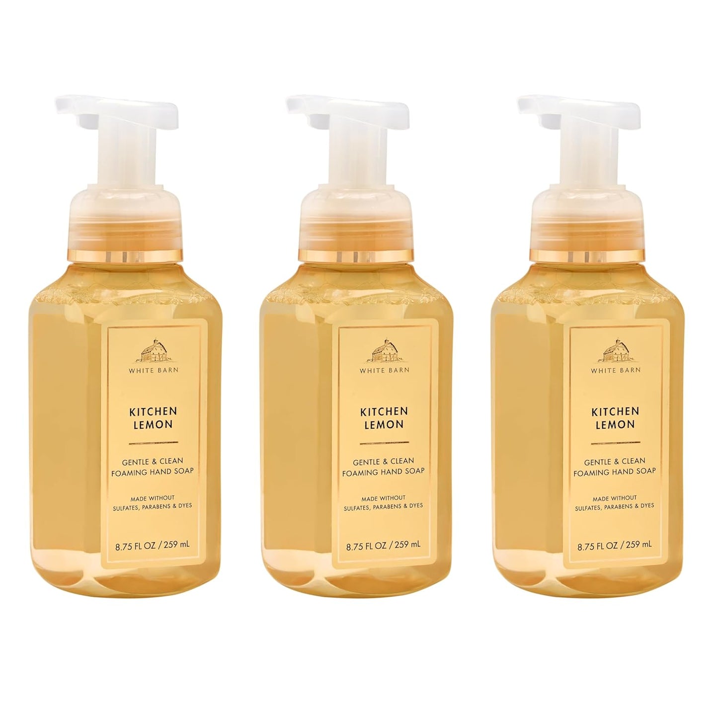Crisp Morning Air Foaming Hand Soap - Germ-Cleansing Formula | Gentle Cleansing & Conditioning - 3-Pack