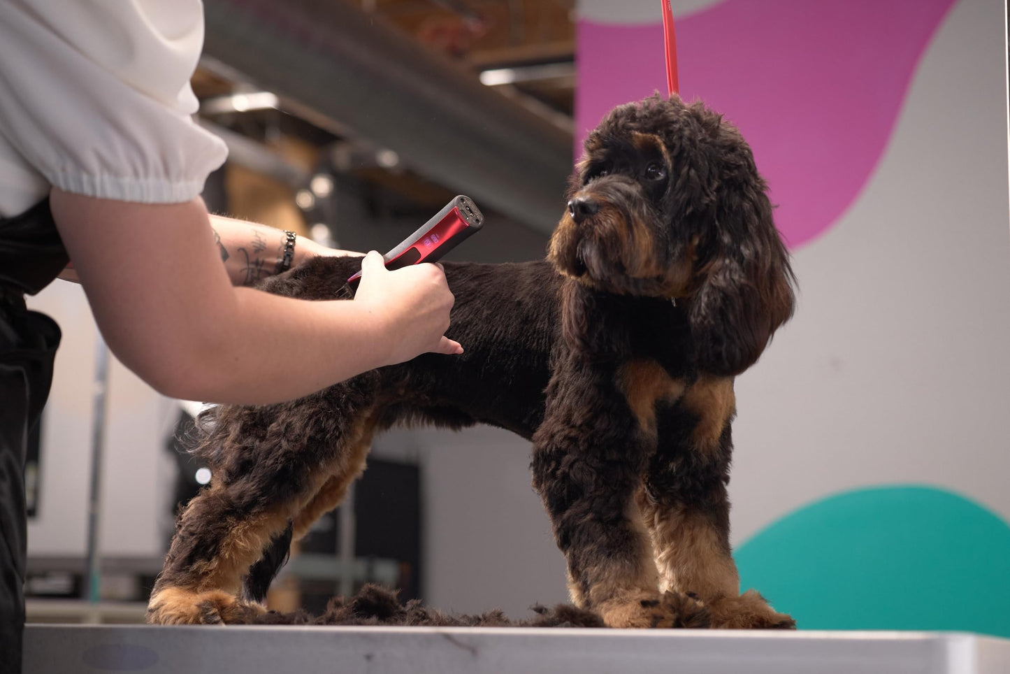 Wahl Pro Animal Bravura2 - Cordless Professional Pet Clipper for Dogs, Cats & Horses - Multi-Speed - Durable & Easy to Carry - USB Charging - Travel-Friendly - Comfortable Grip - Brilliant Rose