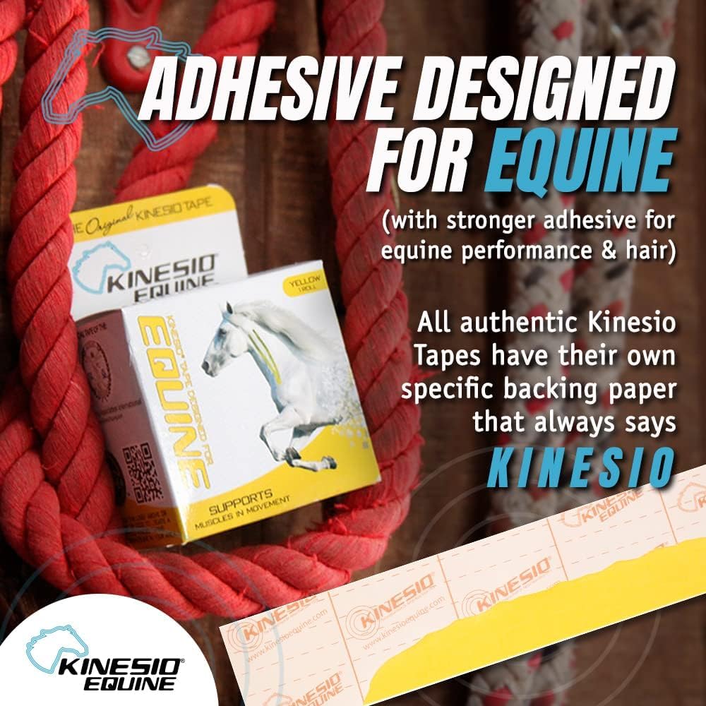 Kinesio Equine Tape - Tex Gold FP Horse Tape -Tape Made Specifically for Horses - 2”x 16’ Rolls - Yellow