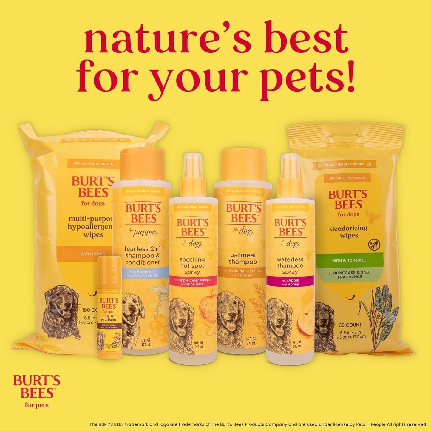Burt's Bees Dog Detangling Spray - Natural Leave-in Coat & Deodorizing Grooming Spray | 10 Fl Oz, pH Balanced