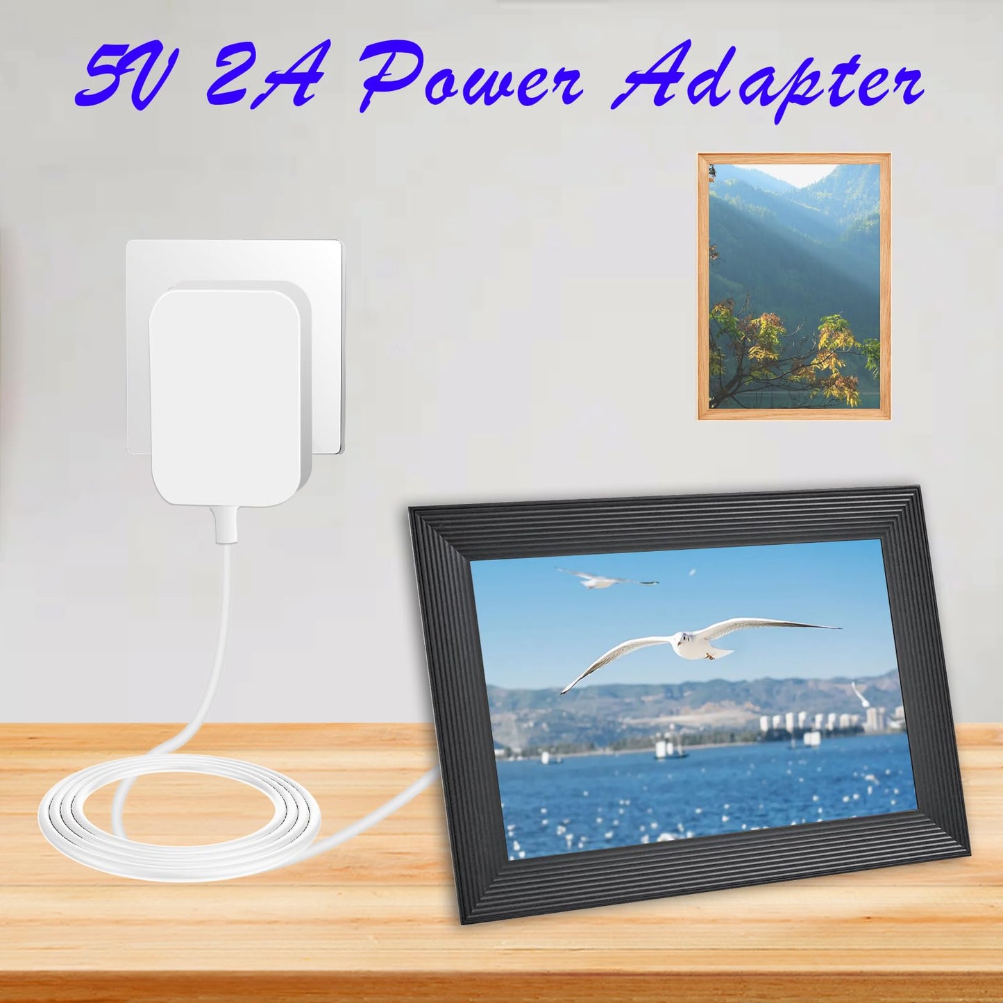 5ft Power Cord for Aura Carver AF900 & AF100,Replacement for Aura Frame SR-A30502000U2 WiFi Digital Picture Frame Power Adapter