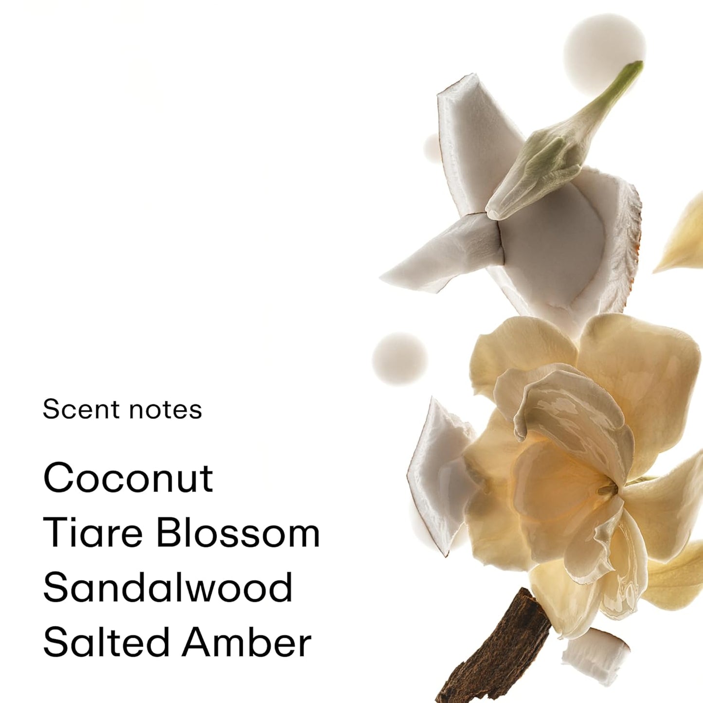 Coconut Skin Body Mist | Women's Hair & Body Perfume - 8 Fl Oz, Fresh Coconut & Caramel Fragrance