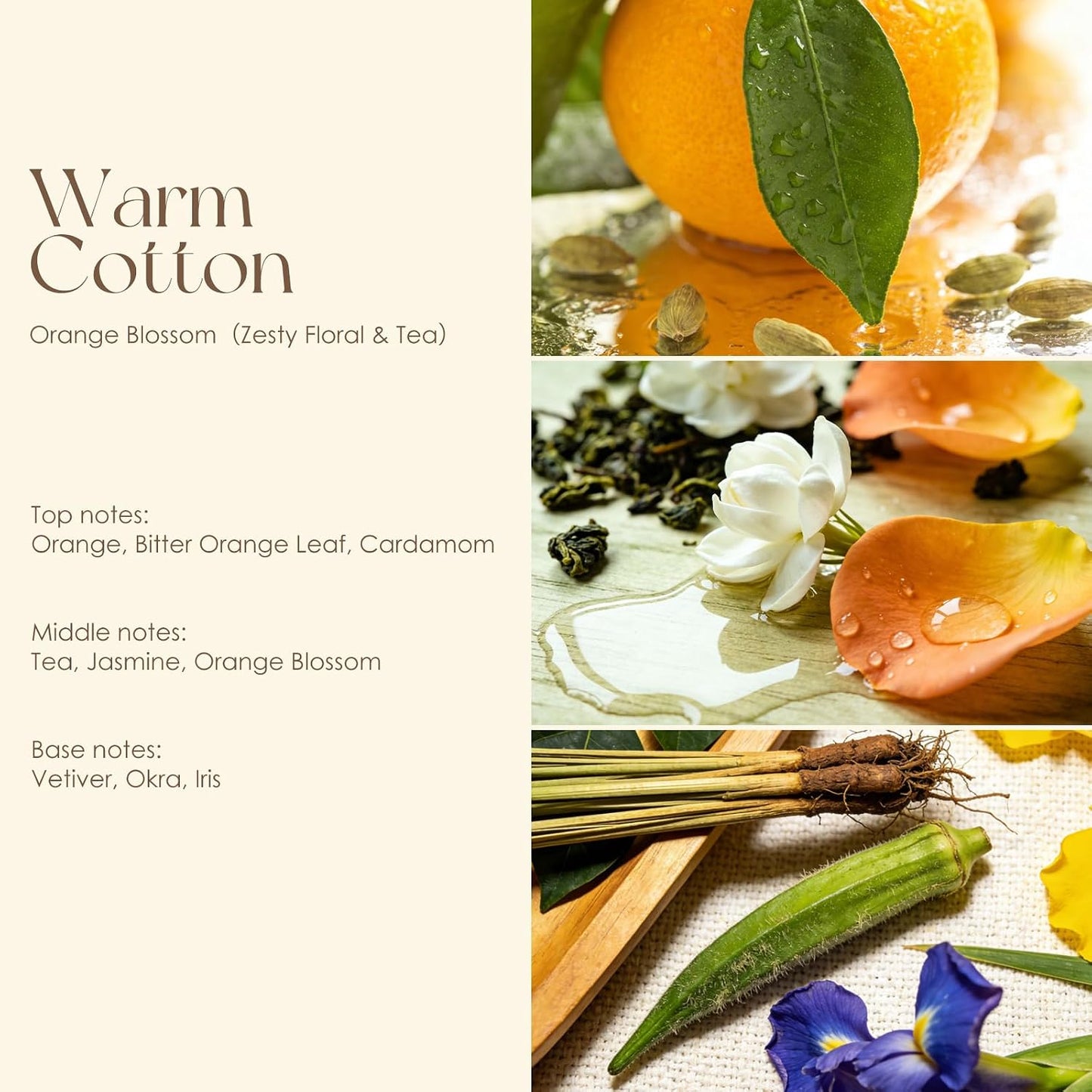 Women’s Perfume Discovery Set - 4 Travel-Size Floral, Citrus, Tea & Woody Scents | 10ml Each Eau de Toilette Gift Set