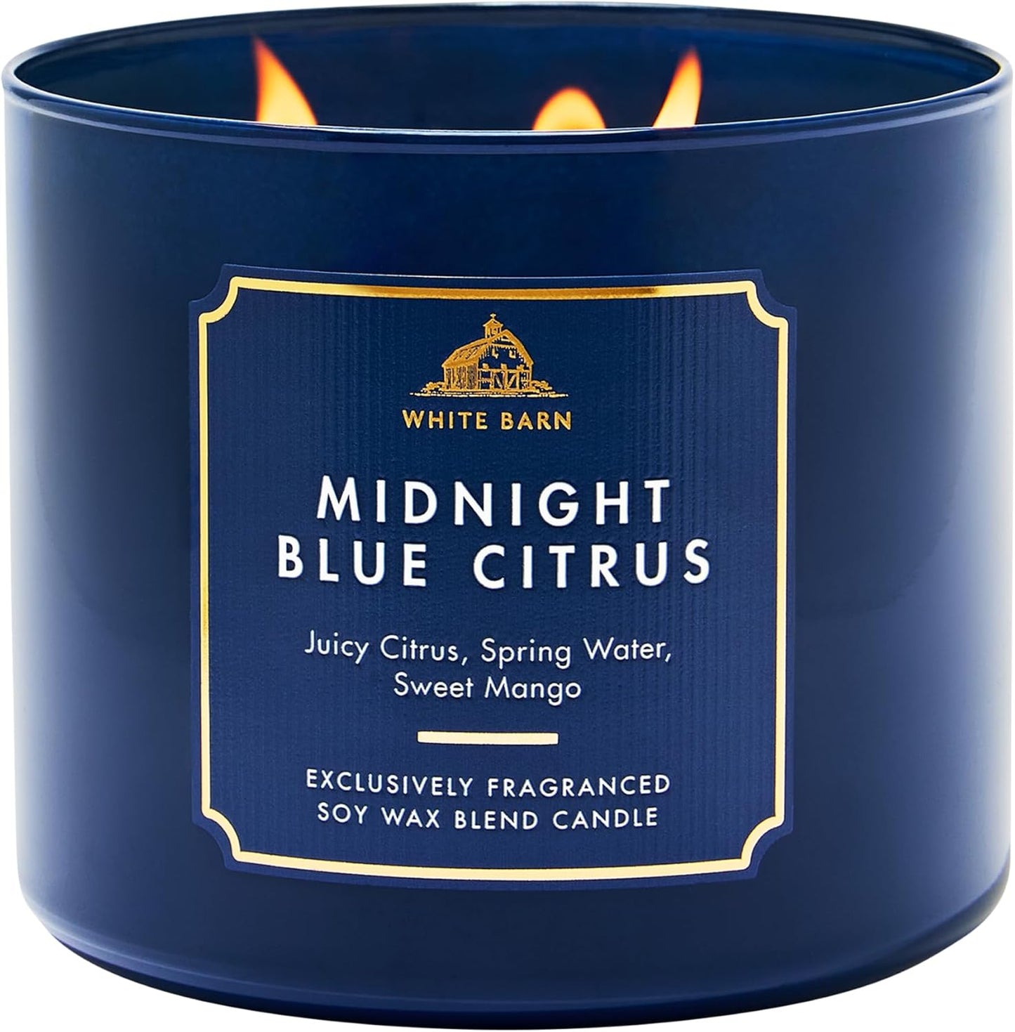 Moonlit Goddess Candle - 3-Wick Strong Throw Soy Wax Blend | Long-Lasting Burn Up to 45 Hours - 14.5 oz