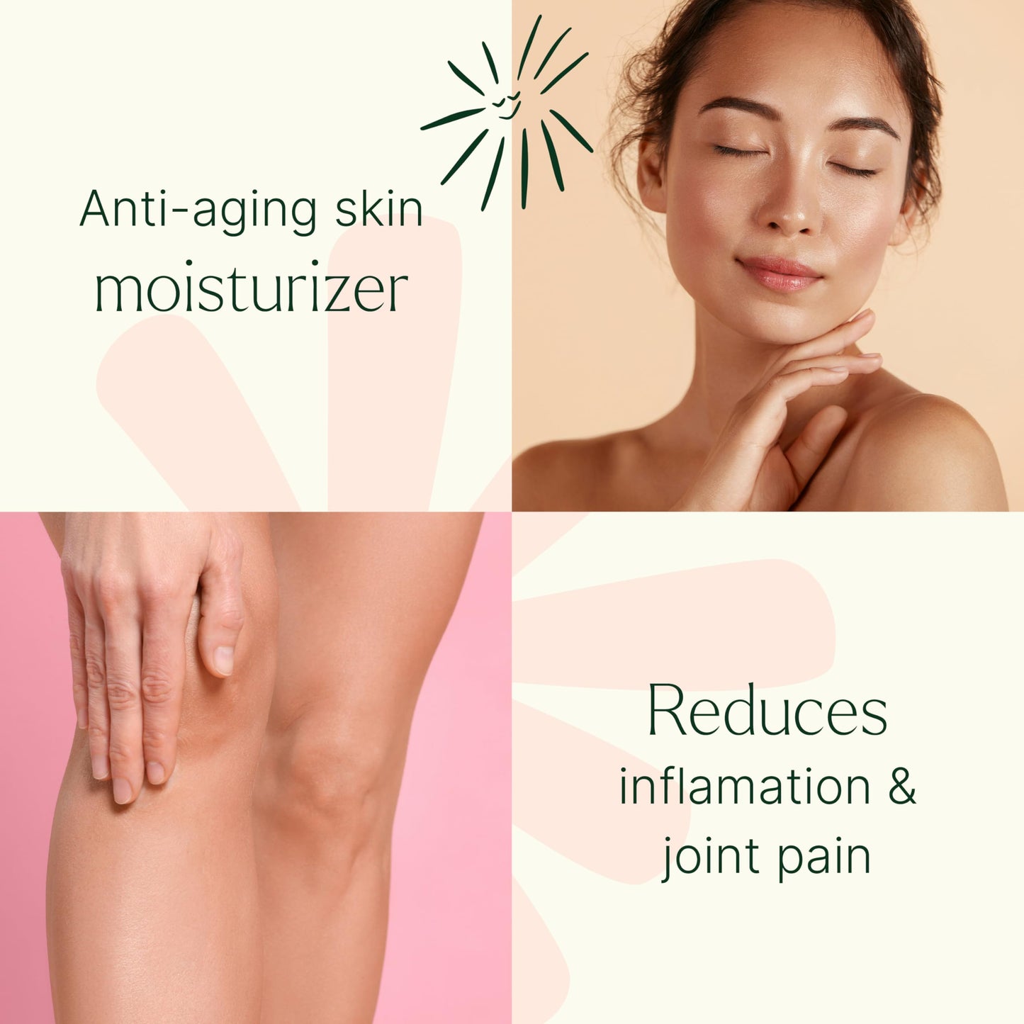 Plant Therapy Organic Castor Oil Roll On 30 mL (1 oz) Convenient Mess-Free Body Oil Roll-on for Easy Application, Cold-Pressed & Hexane-Free, Third-Party Tested for Purity