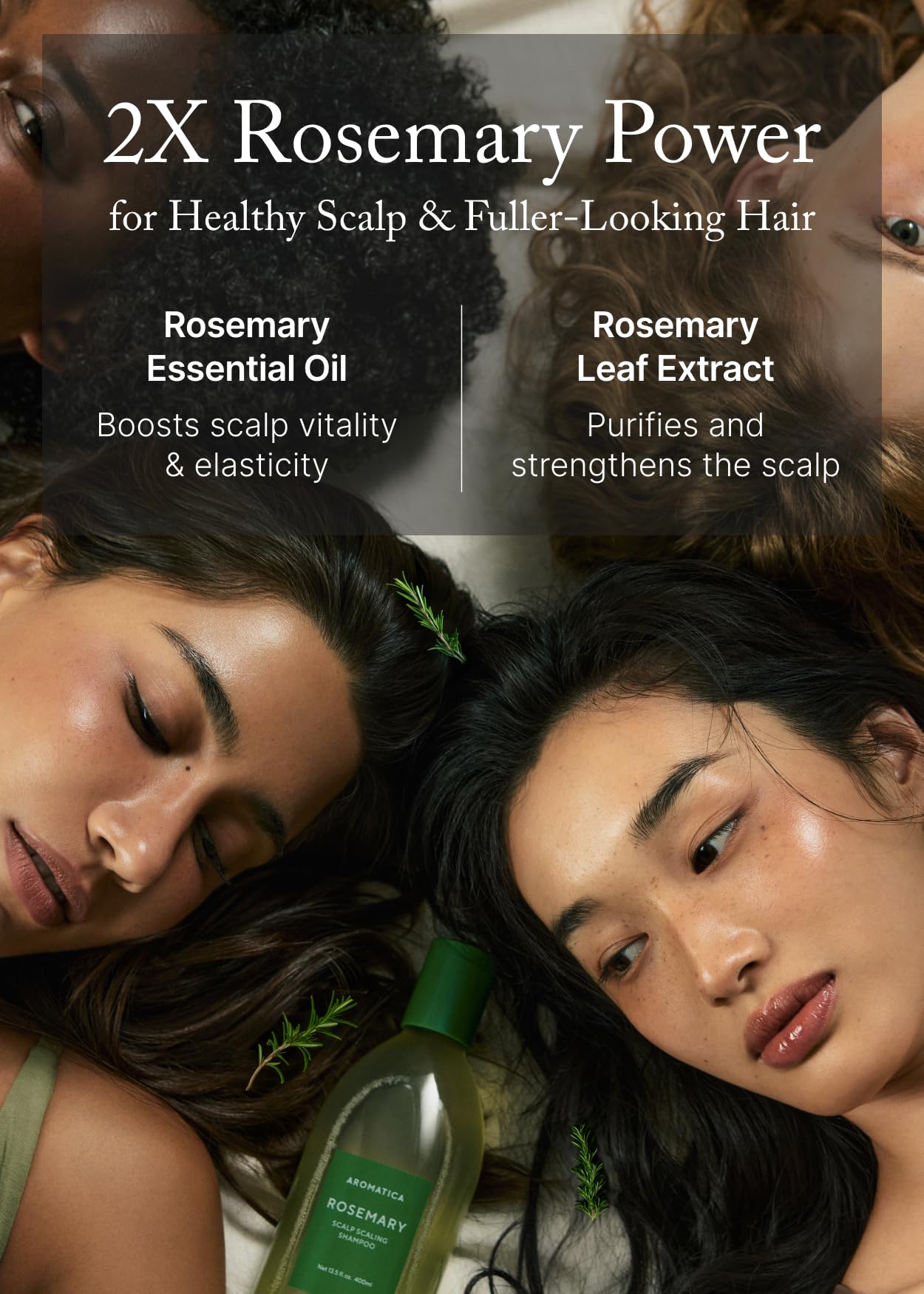 AROMATICA Rosemary Scalp Scaling Shampoo for Hair Growth - Korean Hair Care for Thinning Hair & Hair Loss, Natural Essential Oil, Vegan, Sulfate Silicone Paraben Free (13.53 oz)