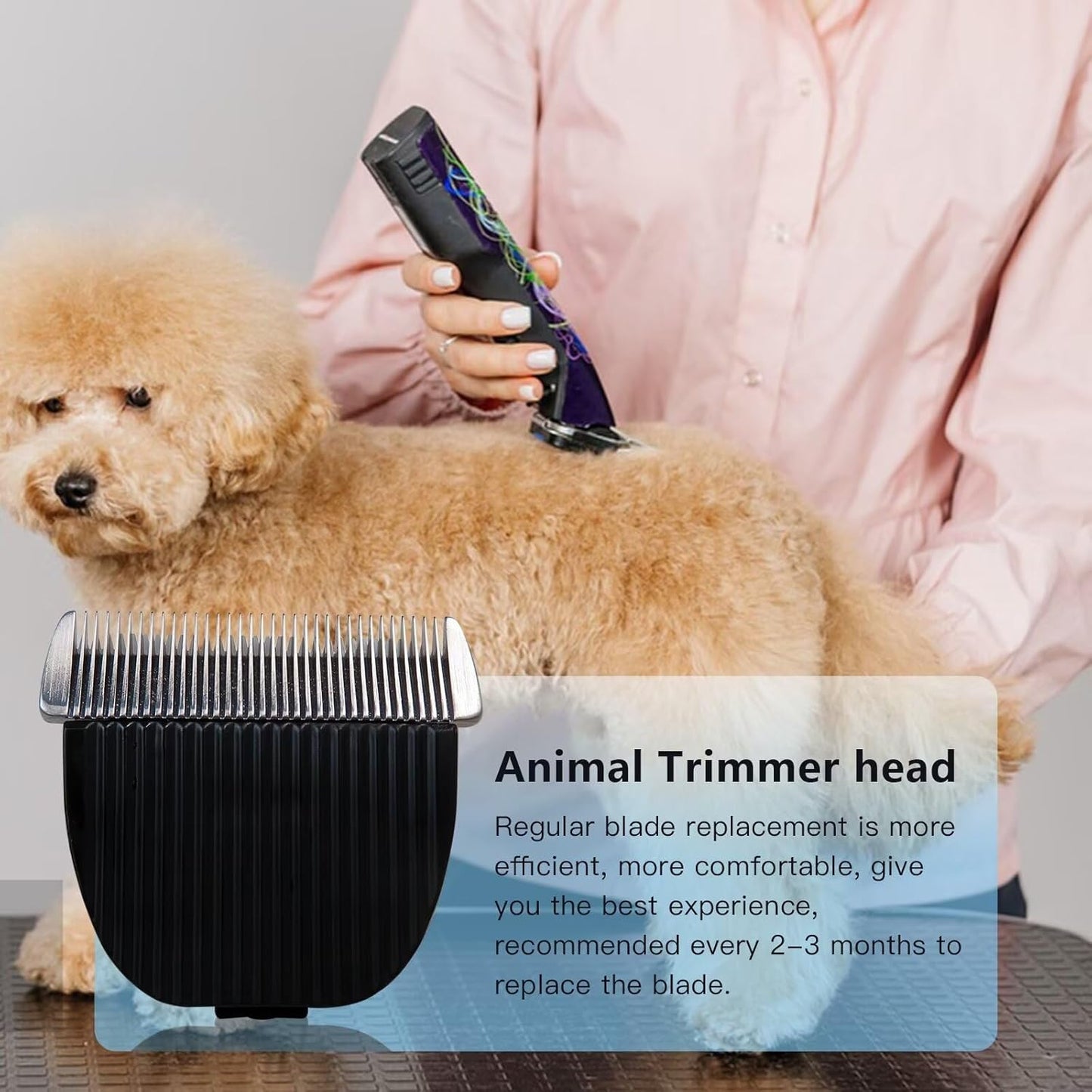 Replacement Blades for Dog Clippers - 2-Pack Low Noise Quiet Heads | Compatible with Oneisall Electric Clippers