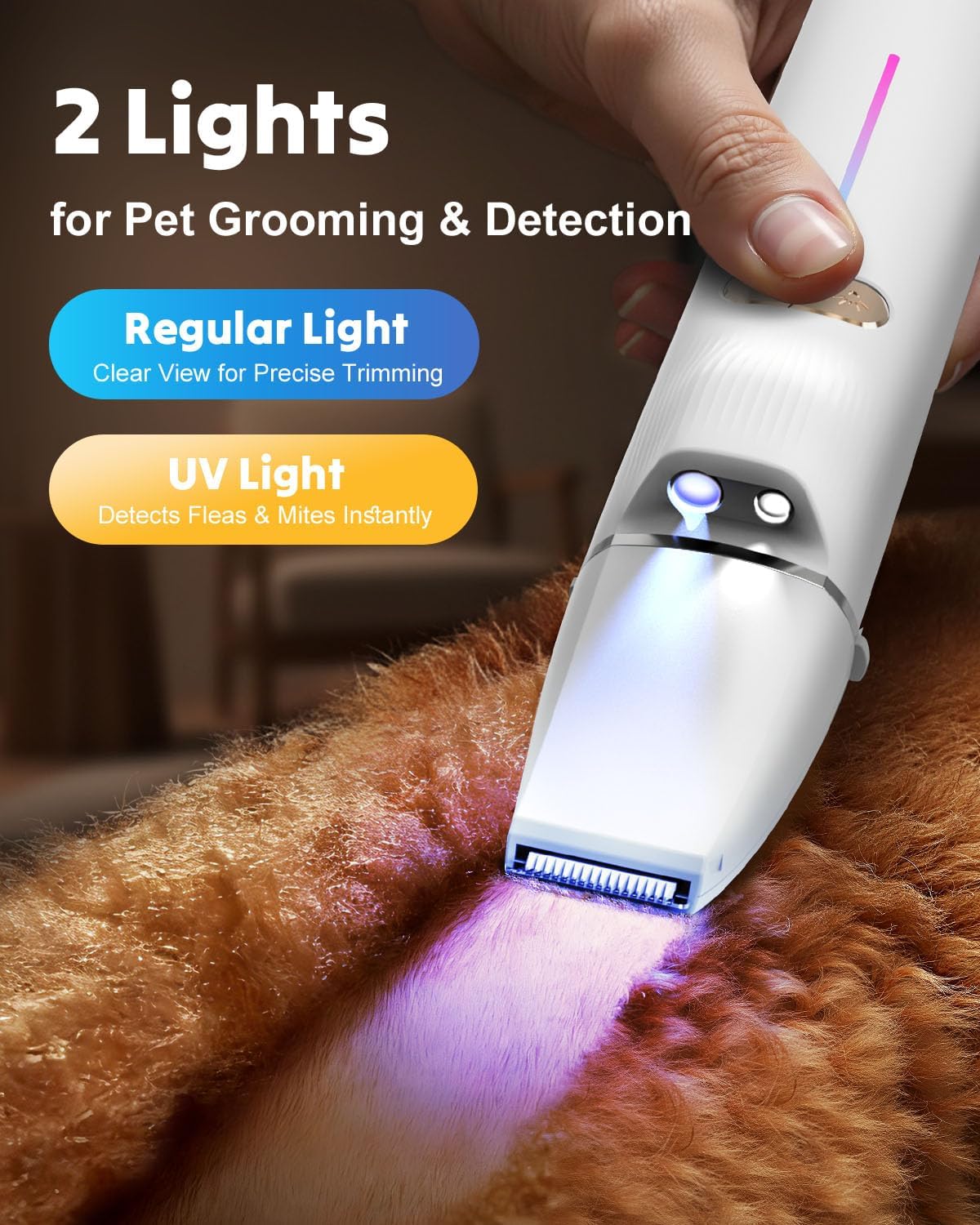 2-in-1 Dog Paw Trimmer - Quiet Cordless Clippers with 2 Speeds | Small Pet Grooming Tool for Paws, Eyes, Ears, Face, Rump - USB-C (White)