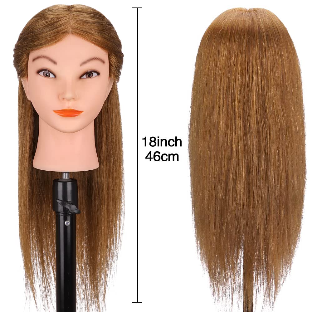 Real Hair Mannequin Head - 18” Brown Cosmetology Training Doll with Clamp & Styling Tools