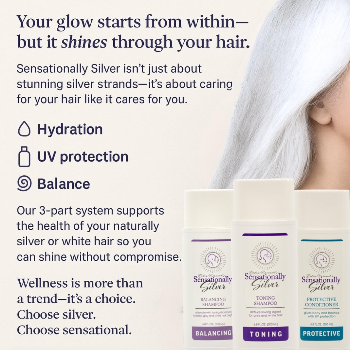 Father's Day | Sensationally Silver 3-Piece Gift Set – Premium Hair Care Trio for Gray, Silver & White Hair | Includes Toning Shampoo, Balancing Shampoo & Conditioner | Elegant Gift Box