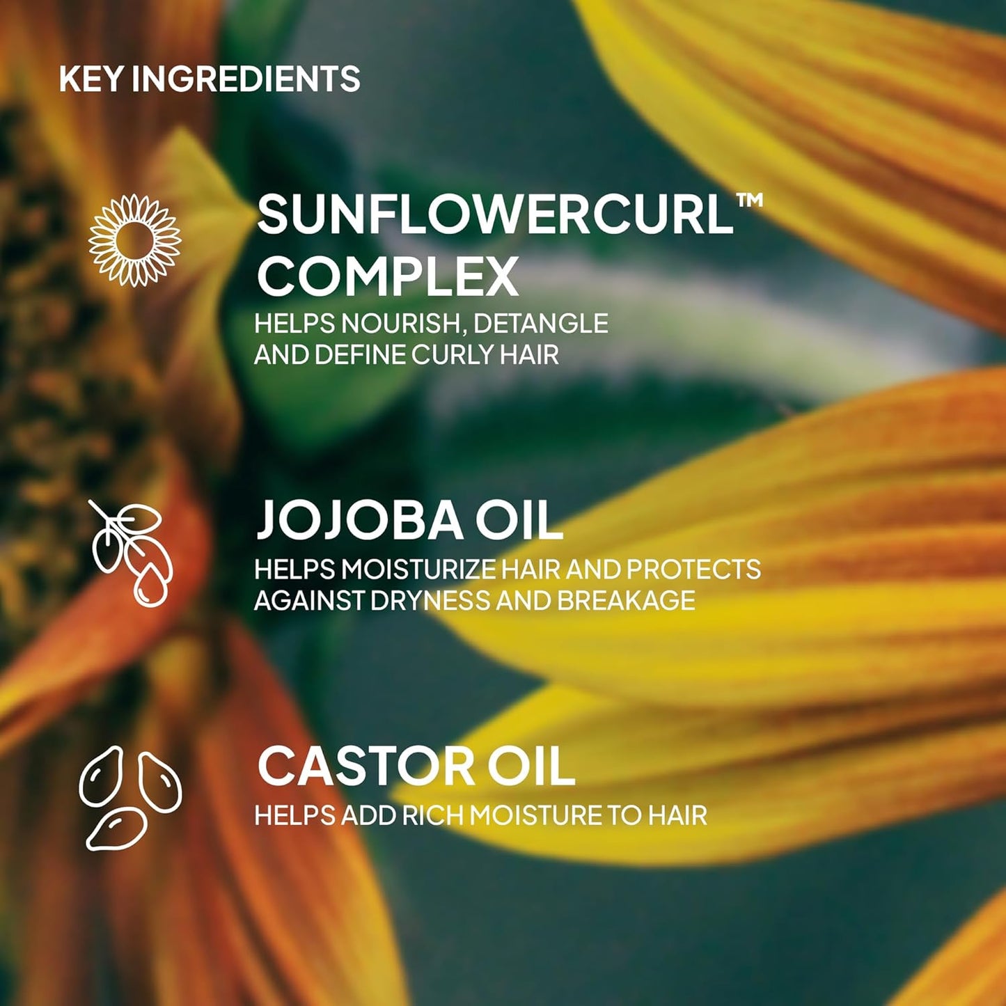Curl Shampoo & Conditioner Duo - Vegan Frizz Control & Definition | Paraben-Free, Sulfate-Free