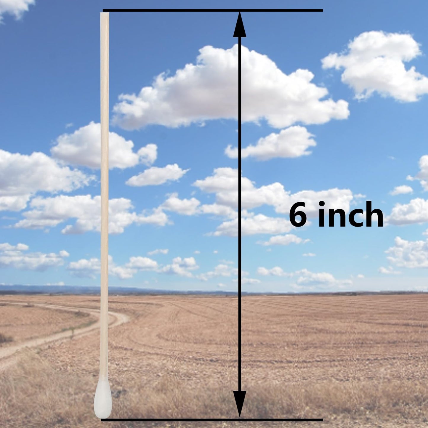 6 Inch Long Cotton Swabs,500pcs Cotton Swabs,Long Cotton Swabs with Wooden Handle,Great for Gun Cleaning,Pet Care and Makeup