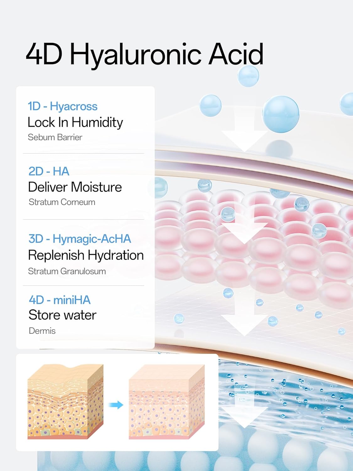 Hyaluronic Acid Serum 3% for Face - 4D Multi-Layer Hydration | Ultra Hydrating Anti-Aging Moisturizer | 30 Single-Use Vials