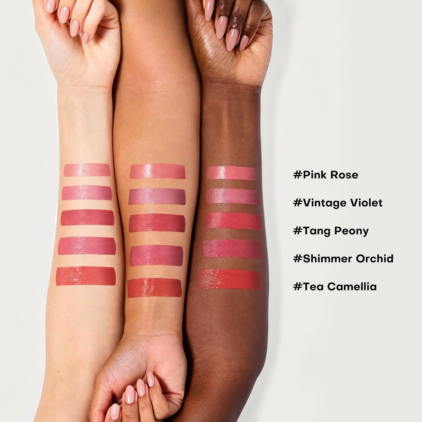 bayfree Plumping Tinted Lip Balm for Dry Lips, 5 PCS Long Lasting Hydrating Chapstick with Jojoba Seed Oil & Vitamin E, Buildable Color Lipbalm, Glossy Finish, Vegan for All Skin Tones, Garden