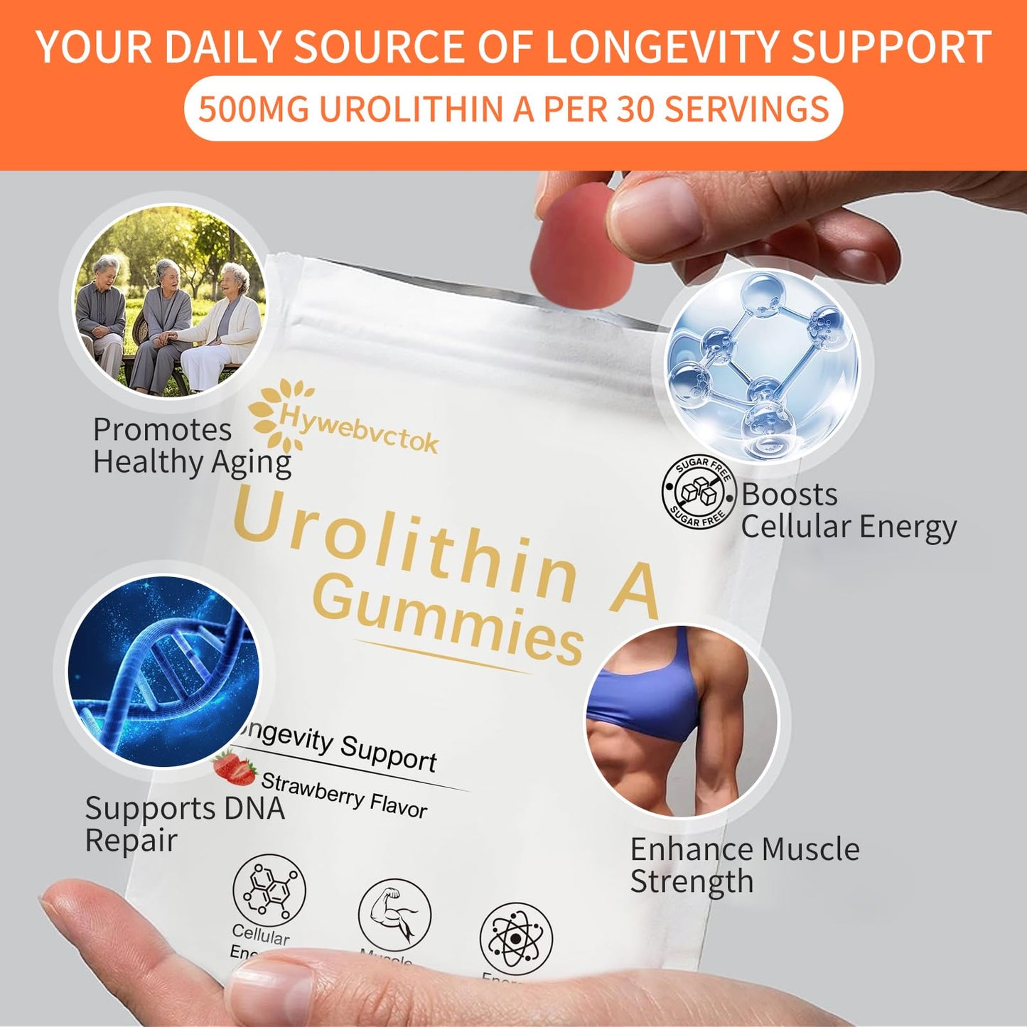 Hywebvctok Urolithin A Supplement Gummies,500mg Urolithin A+ Supplement,Mitochondrial Support Supplement for Cellular Support,Muscle Strength & Longevity,Renewal, Sugar Free,60 CT