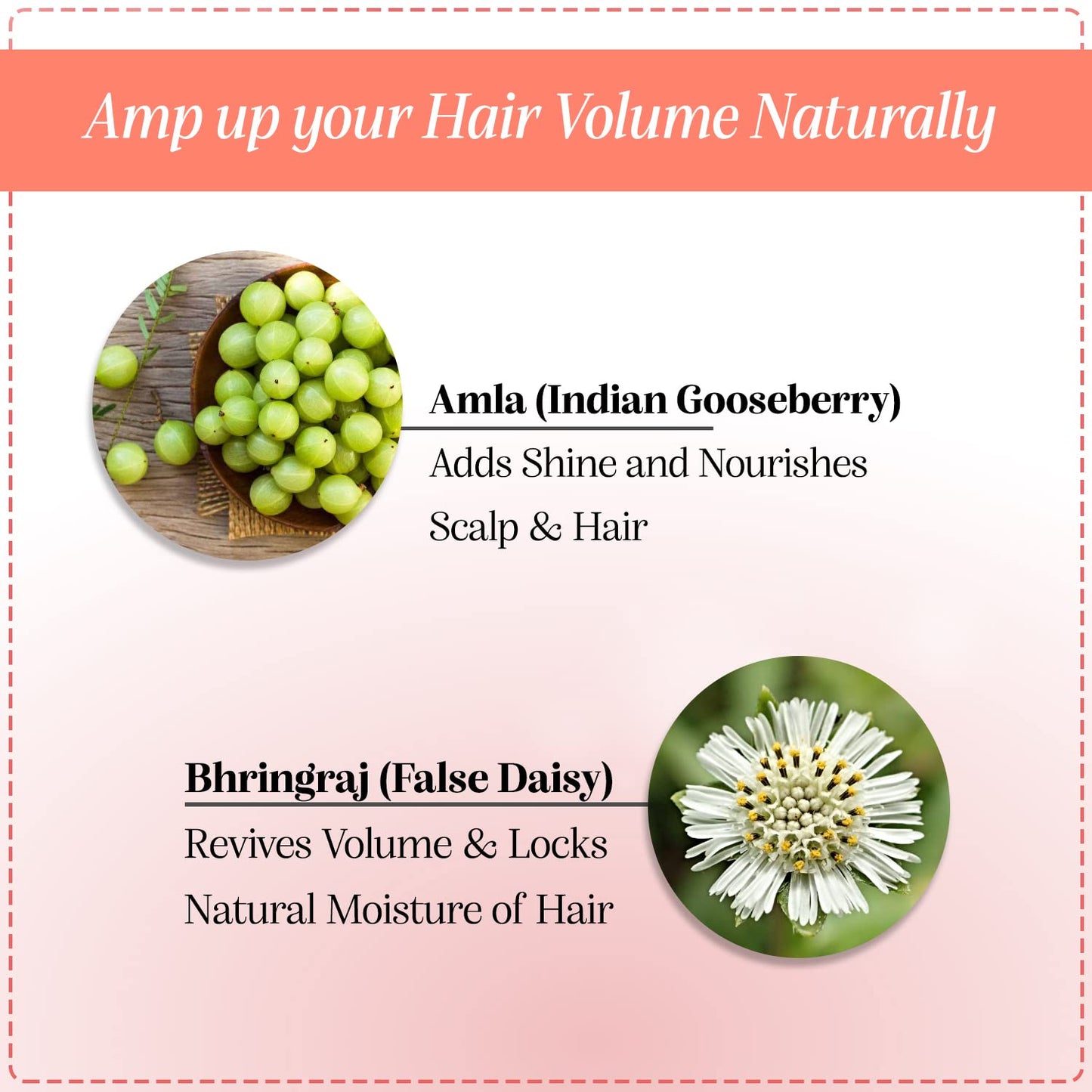 iYURA Ambhring Age Embrace Hair Oil - Pro-Age Moisturizer for Bouncy, Shiny Hair | 3.4 fl oz