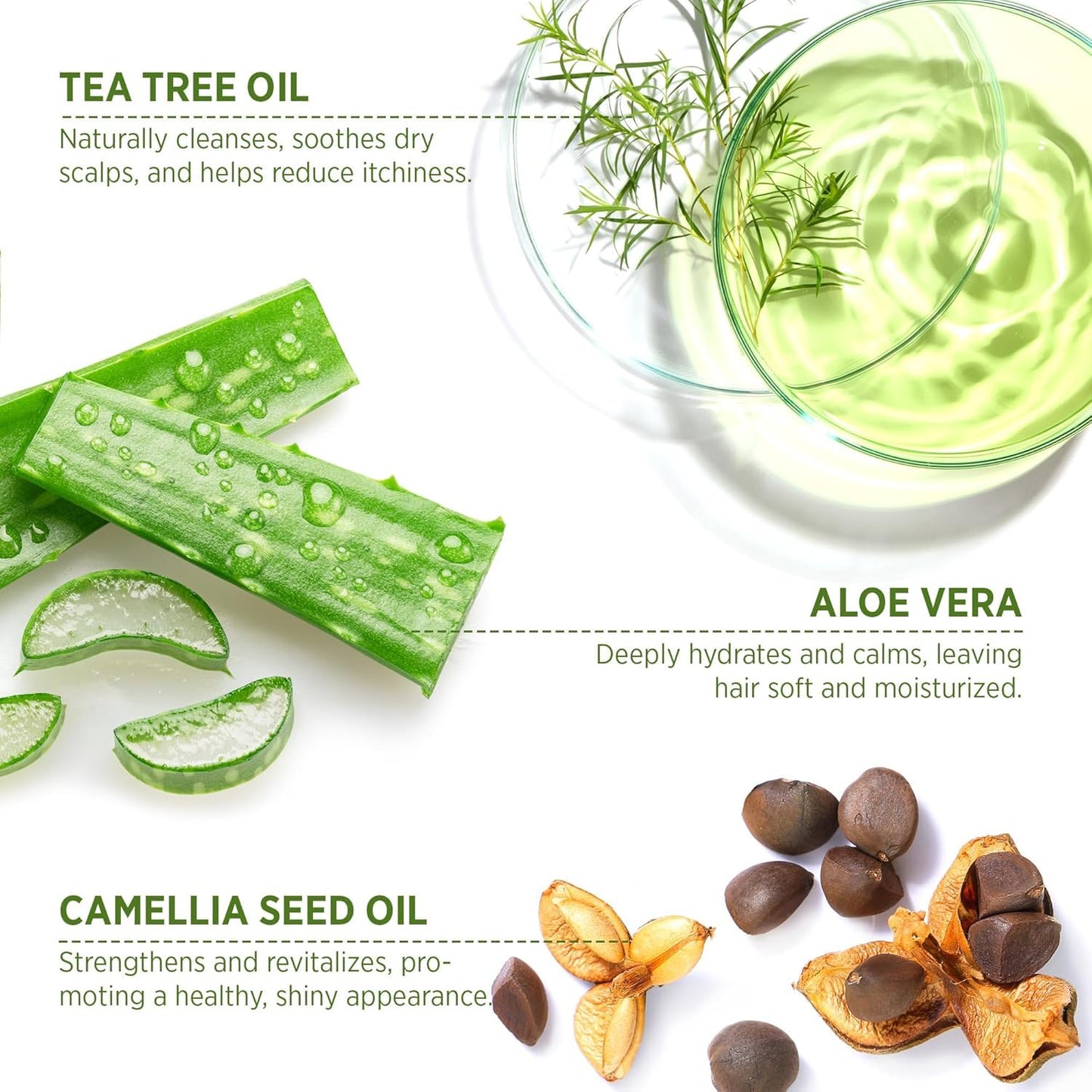 Tea Tree Antifungal Shampoo & Conditioner - Complete Scalp Care for Folliculitis, Dry & Itchy Scalp | Paraben & Sulfate Free