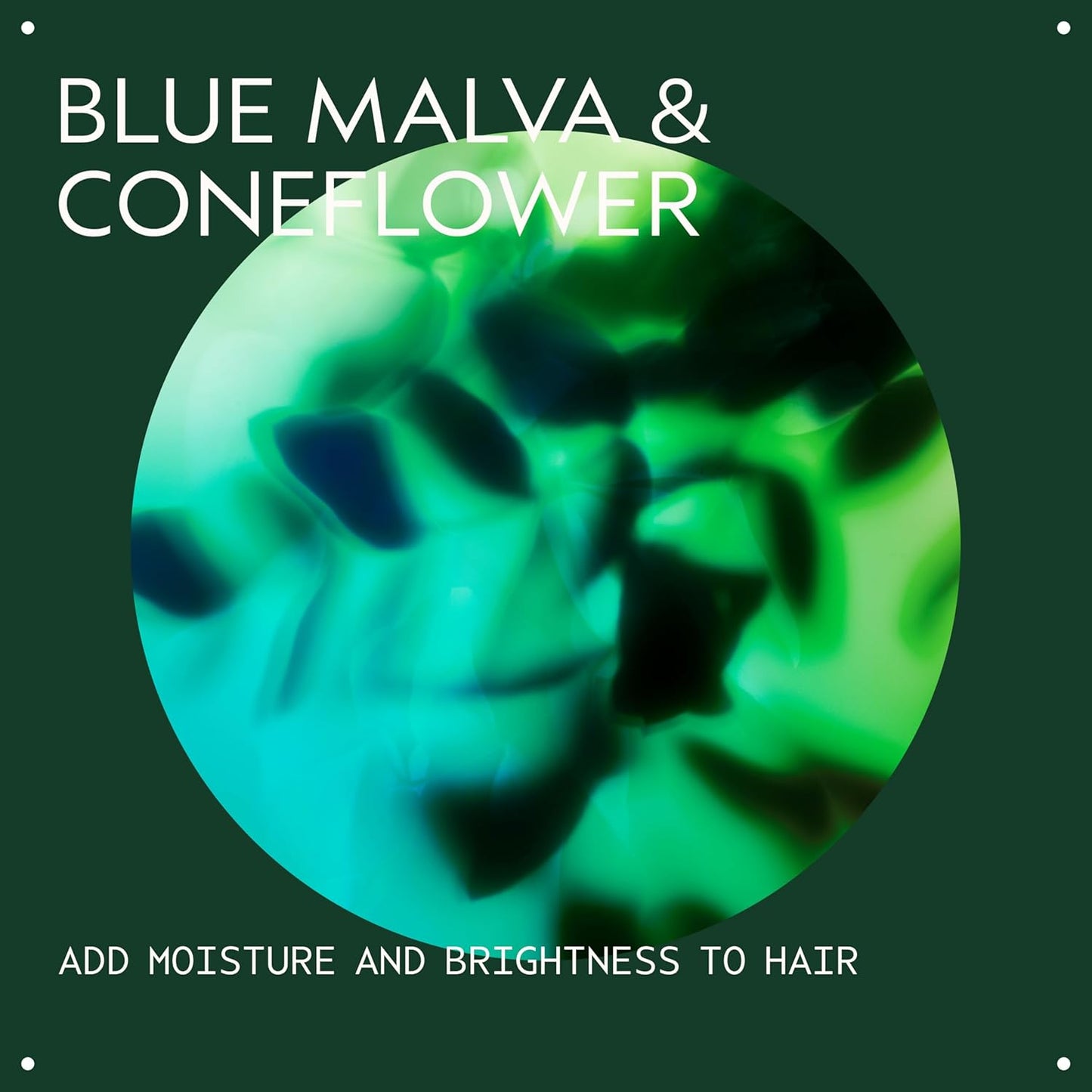 Aveda Blue Malva Shampoo - Purple Shampoo for Gray & Blonde Hair | Neutralizes Brassiness | 33.8 Fl Oz