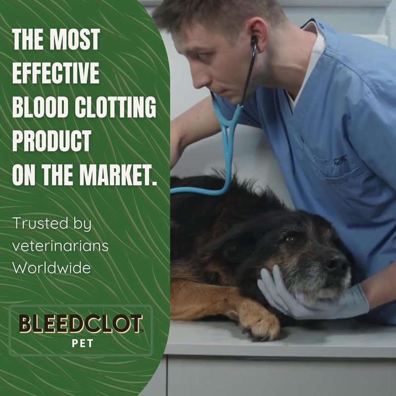 BleedClot Pet First Aid Blood Clotting Powder | The Best for All Animals to Stop Bleeding, Guaranteed | for Minor Cuts and Severe Arterial Bleeding | from The Makers of BleedStop (4 Pouches (0.5 oz))