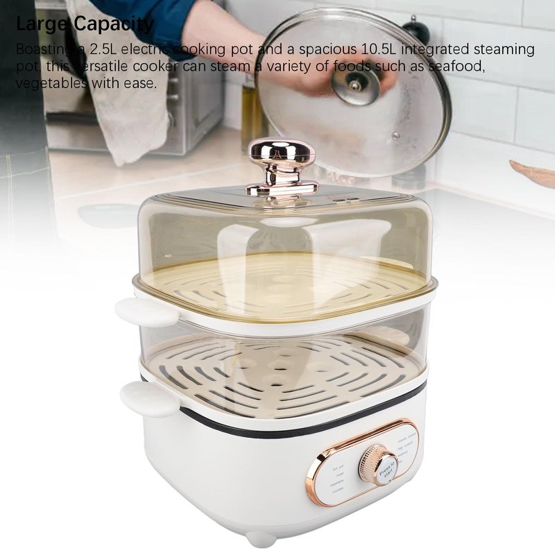 2 Tier Electric Steam Pot, 1200W 10.5L Stackable Multipurpose Cooker Electric Hot Pot 2.5L cooking pot with Steaming Plate for Soup Noodles Oatmeal (US Plug 110V)