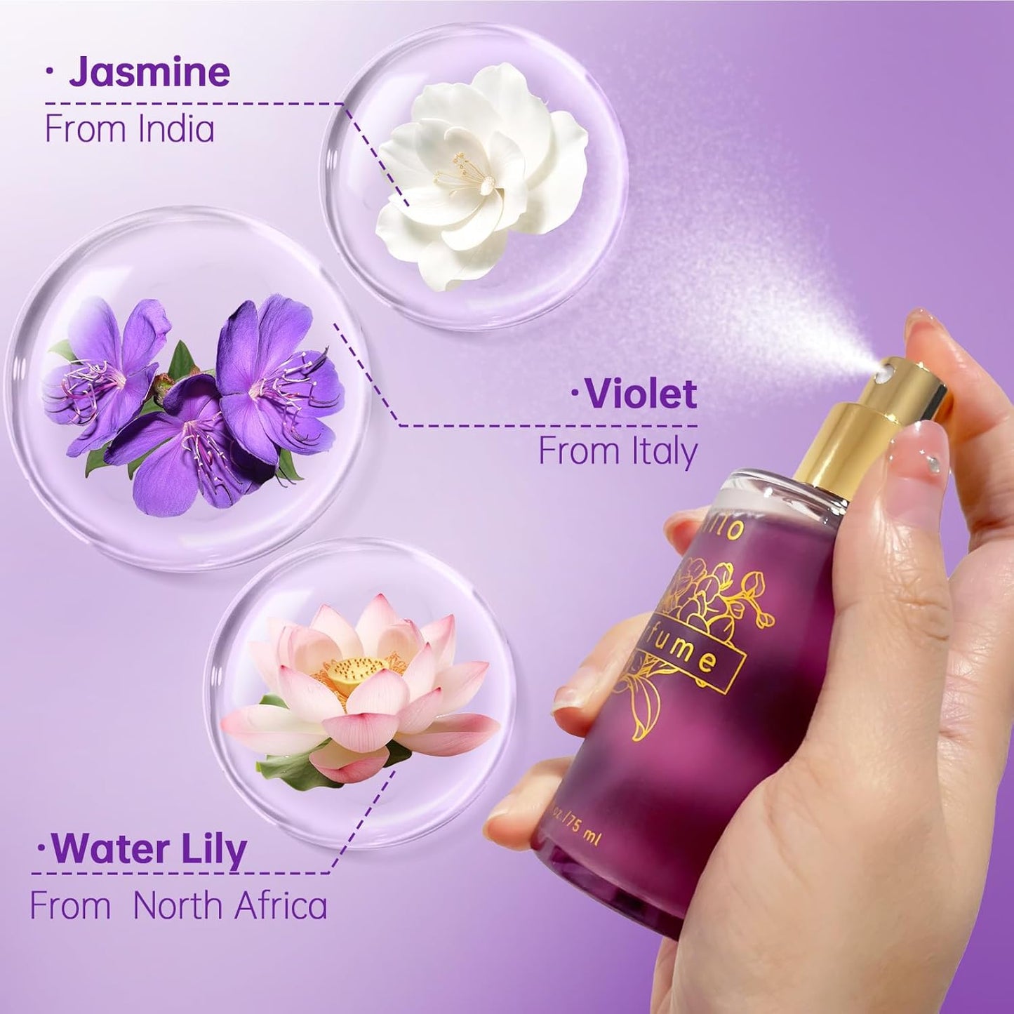 Natural Hair Perfume for Women - Long-Lasting Fragrance for Hair, Body & Clothes | 75ml/2.54 fl oz - Transparent Violet