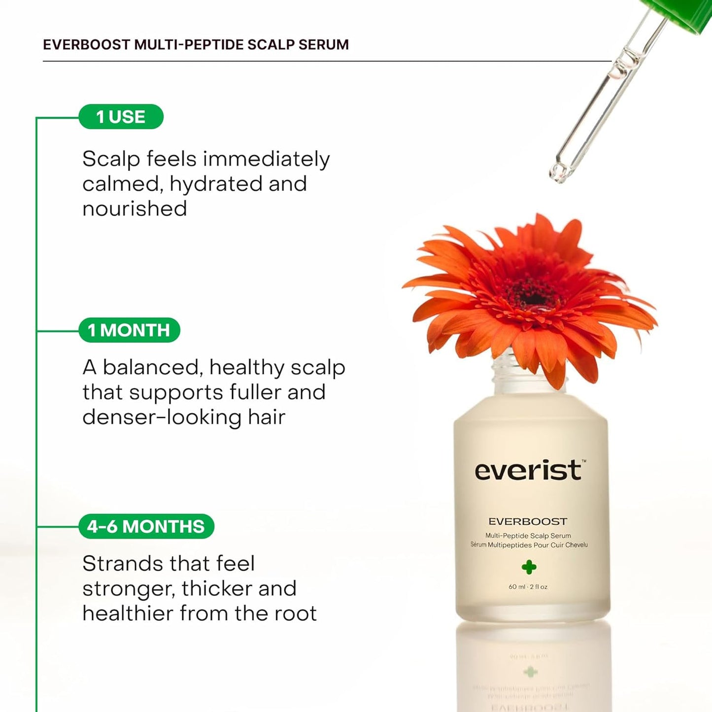 Everist Multi-Peptide Scalp Serum - Peptides & Caffeine for Thicker Hair | 60ml
