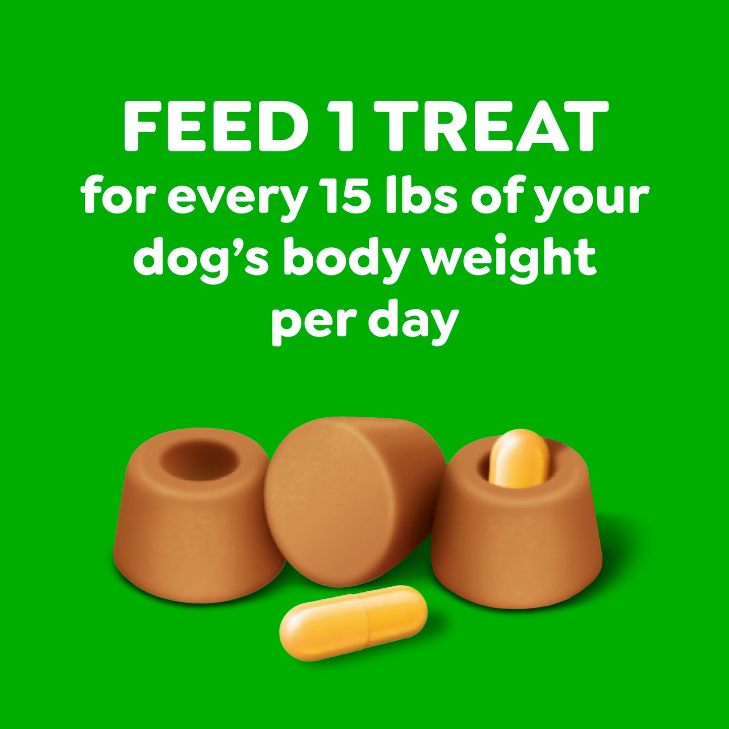 Greenies Pill Pockets for Dogs Large Size, Dog Treat Pouch for Capsule Medication, Peanut Butter Flavor, 15.8 oz. Pouch