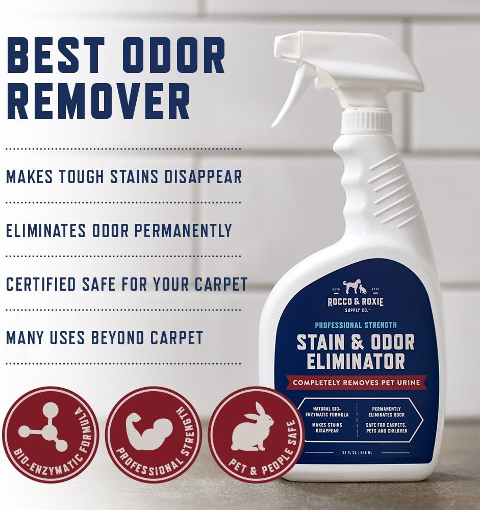 Rocco & Roxie Stain & Odor Eliminator | Enzyme Cleaner for Pet Urine - 32 Fl Oz Carpet Cleaner Spray