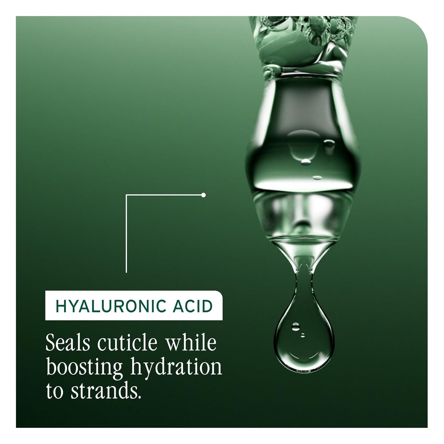 Biolage Hydra Source Shampoo - Moisturizing Aloe Vera & Hyaluronic Acid for Dry Hair | Vegan, Paraben-Free