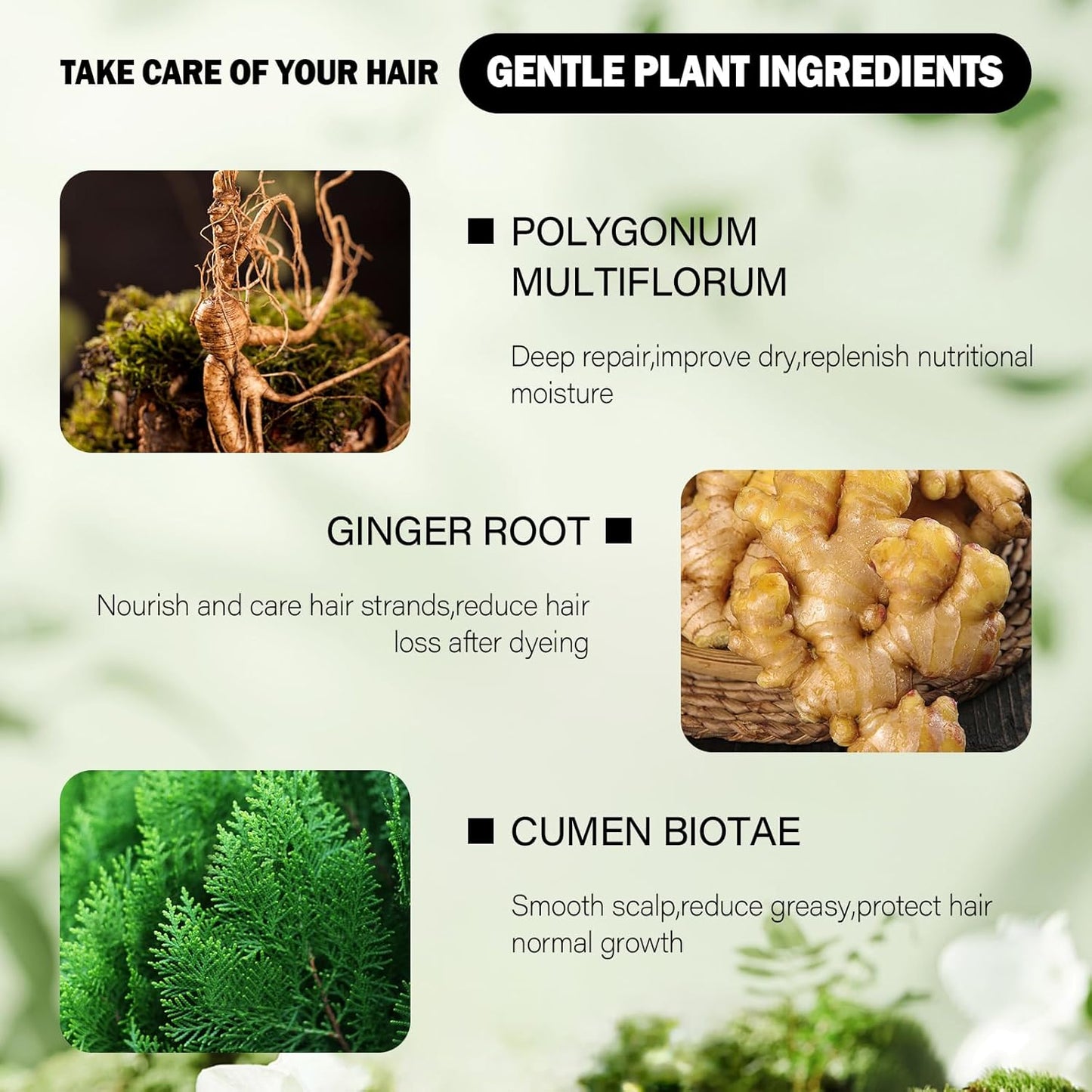 Brown Hair Dye Shampoo for Women - Permanent Gray Coverage | Herbal Plant-Based Formula