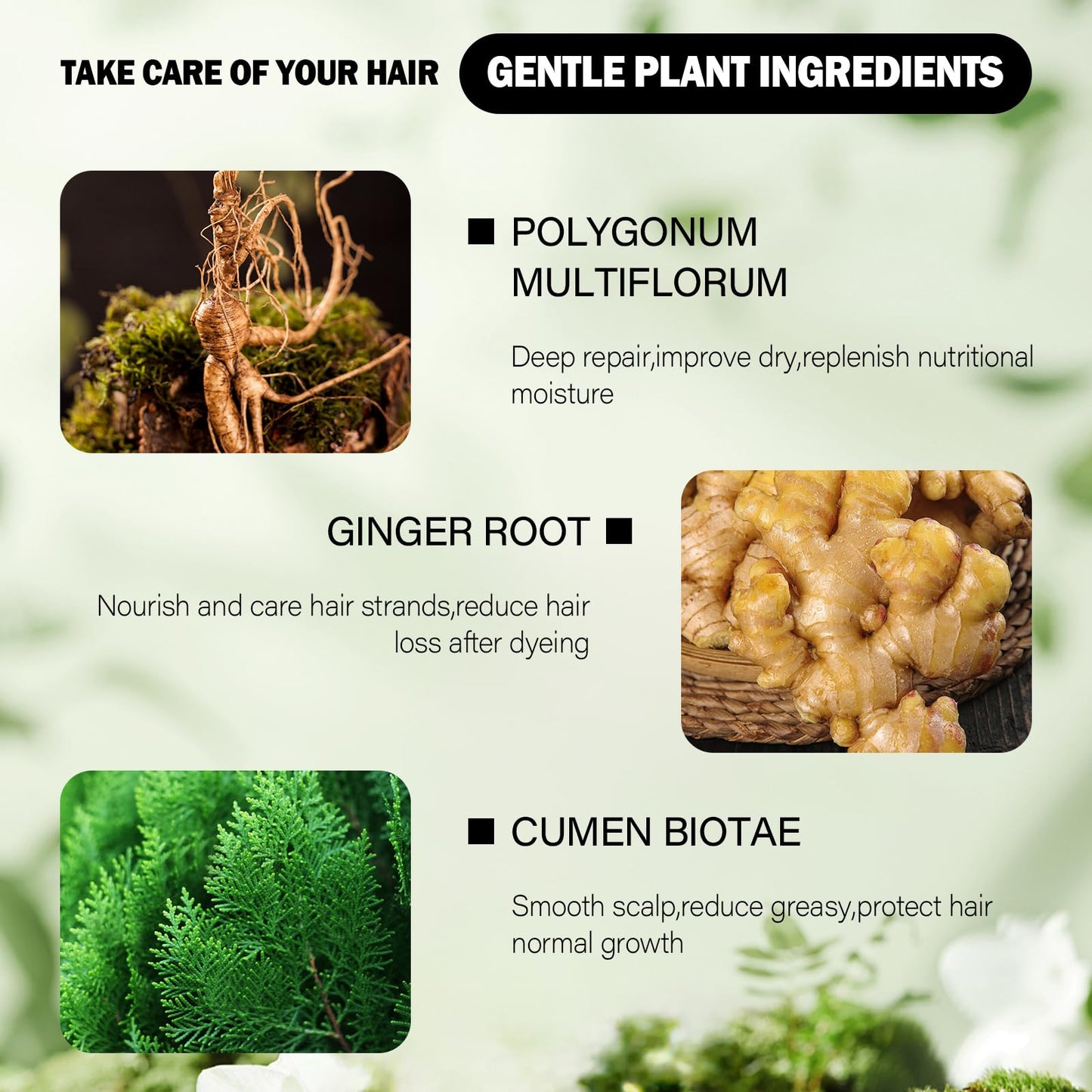Brown Hair Dye,Hair Dye Shampoo for Women,Hair Color for Gray Hair Coverage Permanent,Comb Dyeing Champu Para CanasHair Dye 4 in 1 With Comb Herbal Natural Plant Hair Color Shampoo(Brown)