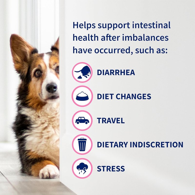 Nutramax Proviable Probiotics for Dogs & Cats - Daily Digestive Health Supplement with Prebiotics | 30 Capsules