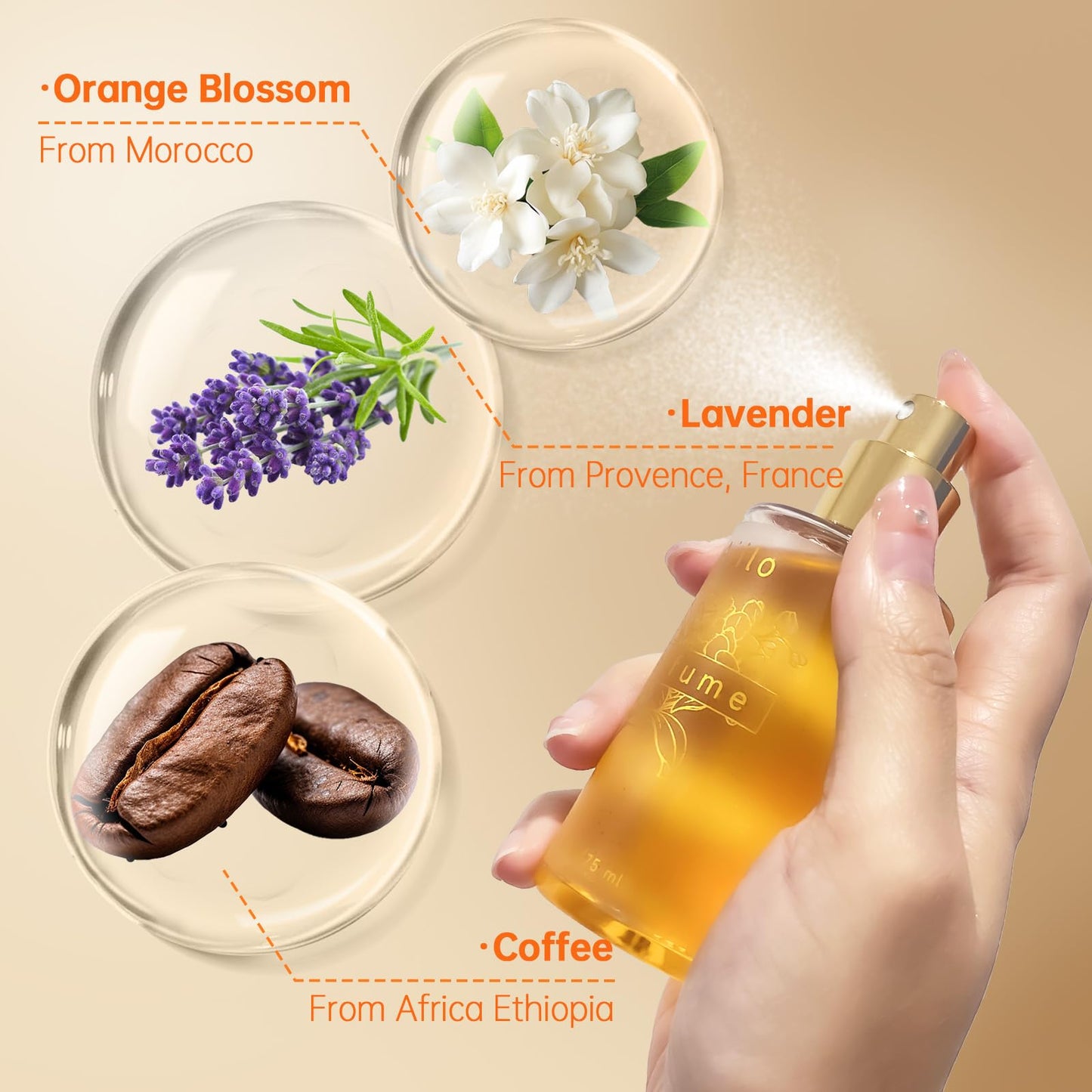 Aiilo Hair Perfume for Women, Long Lasting Hair Fragrance Mist, Hair Perfume Spray for Hair, Body & Clothes, Lightweight Non-Greasy Formula, Up to 8 Hours Freshness, 75ml/2.54 Fl Oz (Pistachio Latte)