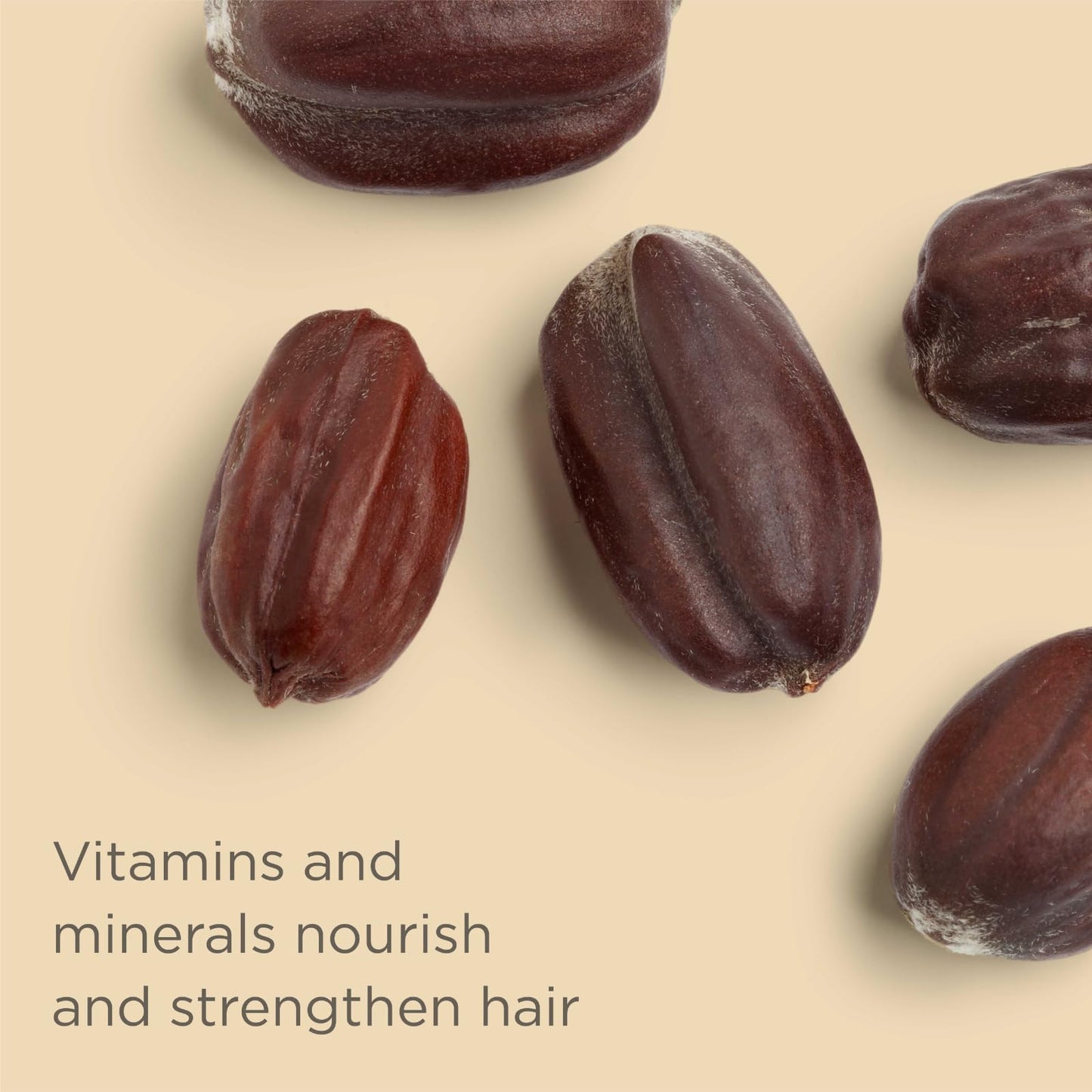 Hairitage Gentle Daily Hydrating and Moisturizing Shampoo For Dry Hair with Jojoba Oil + Aloe Vera - Ultra-Mild + Moisture-Rich - Improves Dry, Brittle Strands, 13 fl. oz.
