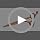 PURPLEBIRD 6" Professional Hair Cutting Shears - Japanese 440C Stainless Steel