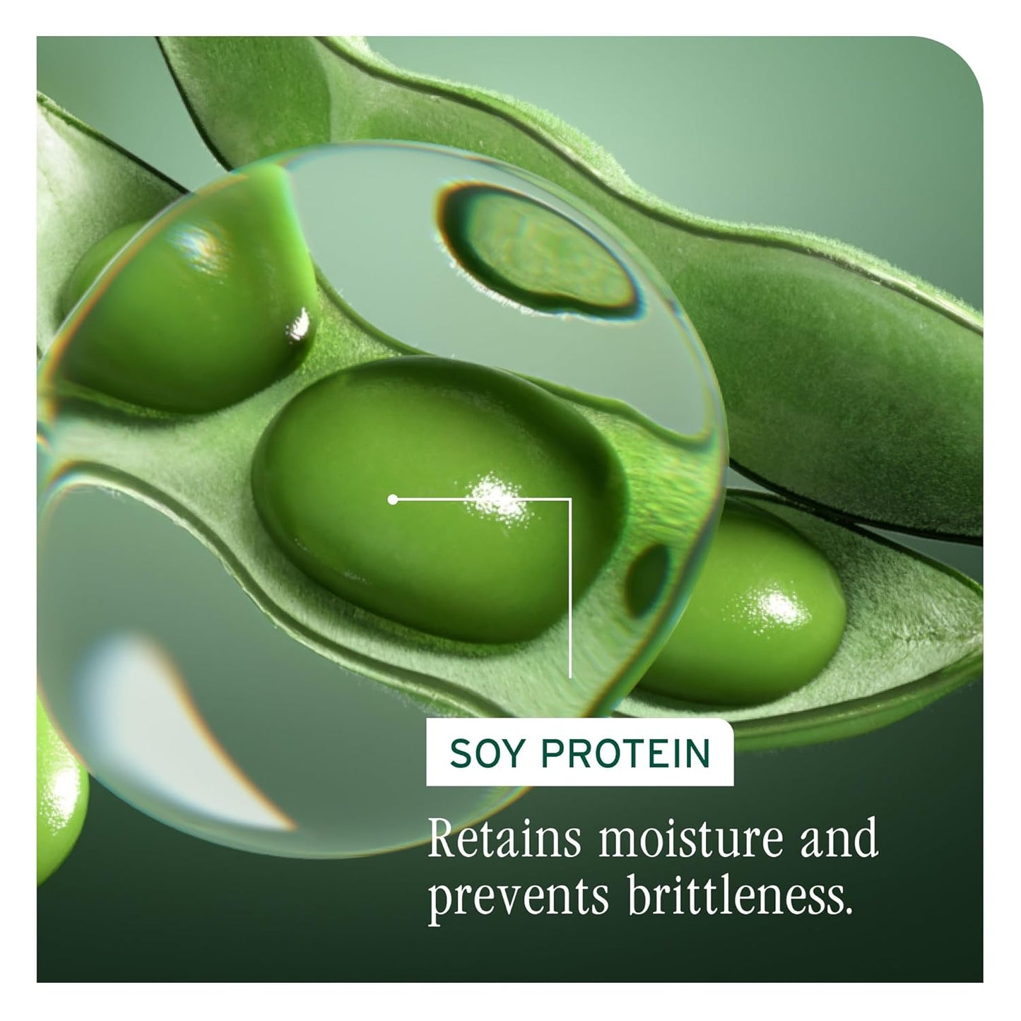 Biolage Volume Boost Conditioner - Weightless Moisture & Shine for Fine Hair | Vegan, Paraben-Free, Soy Protein
