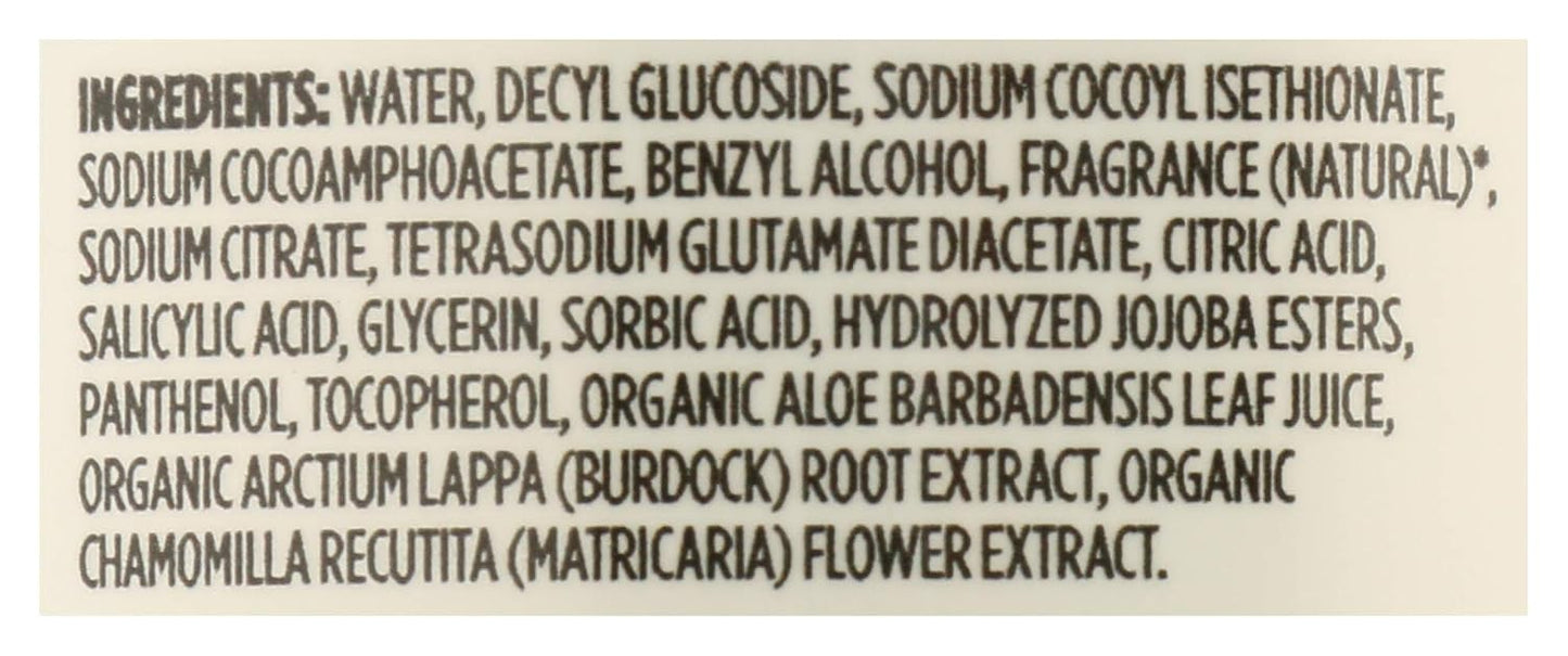 Hand Soap Foaming Satsuma Eucalyptus - Refreshing Clean, 12 Fl Oz | Pack of 2