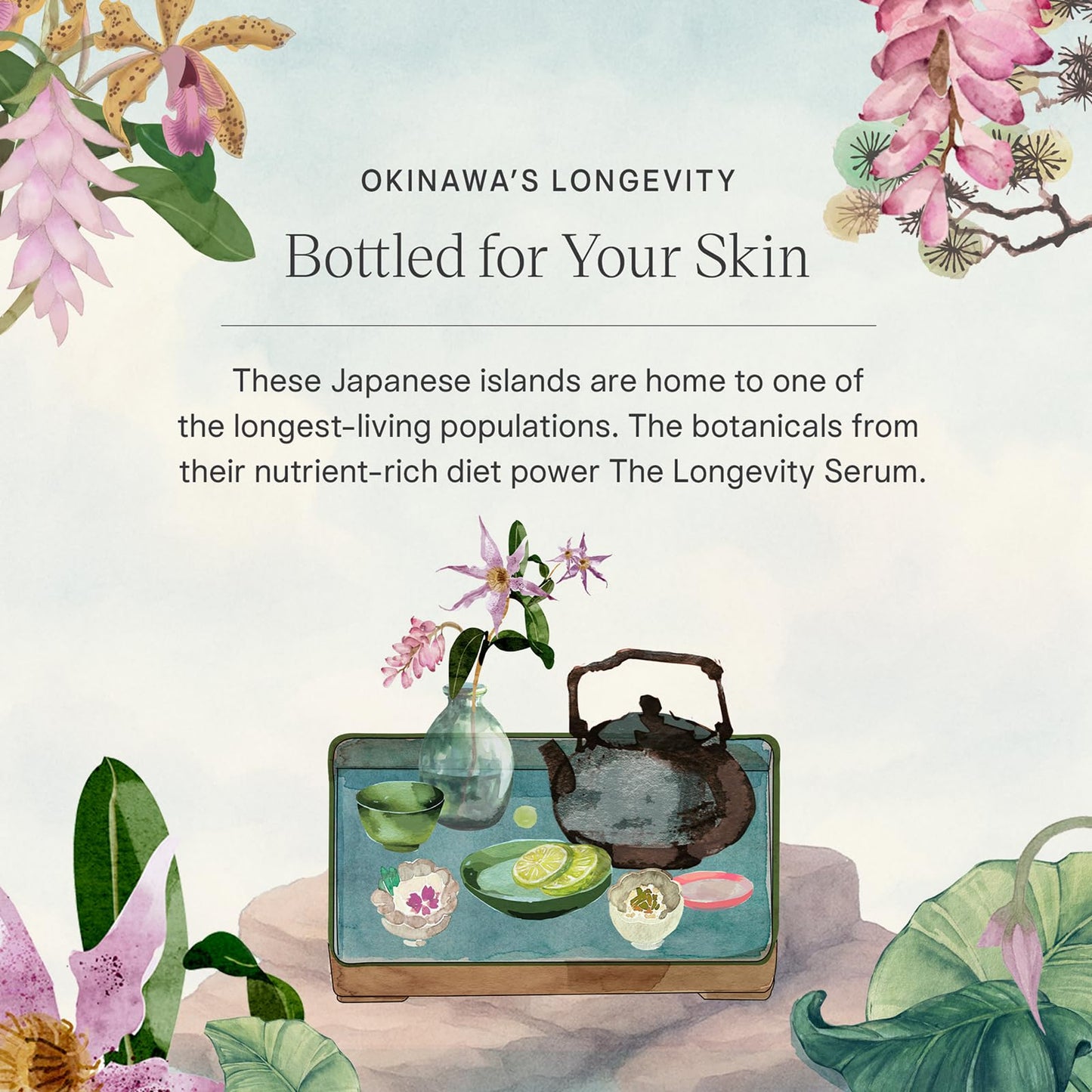 TATCHA The Longevity Serum | Skin Strengthening Treatment | Delays Visible Signs of Aging & Boost Cellular Resilience with Okinawa Cellescence Complex, Bio-Active Lipids, and Pro-AHA Prebiotic
